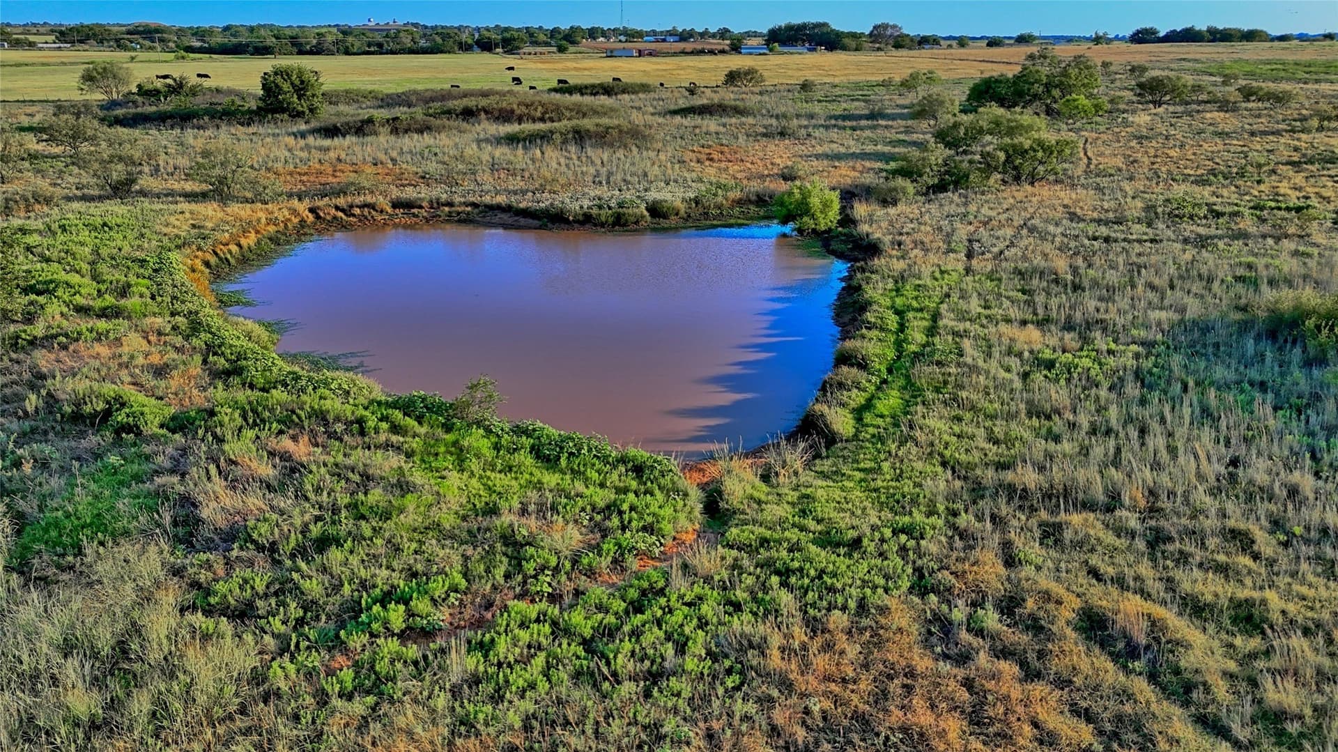 41.22 acres in Montague County - photo 5