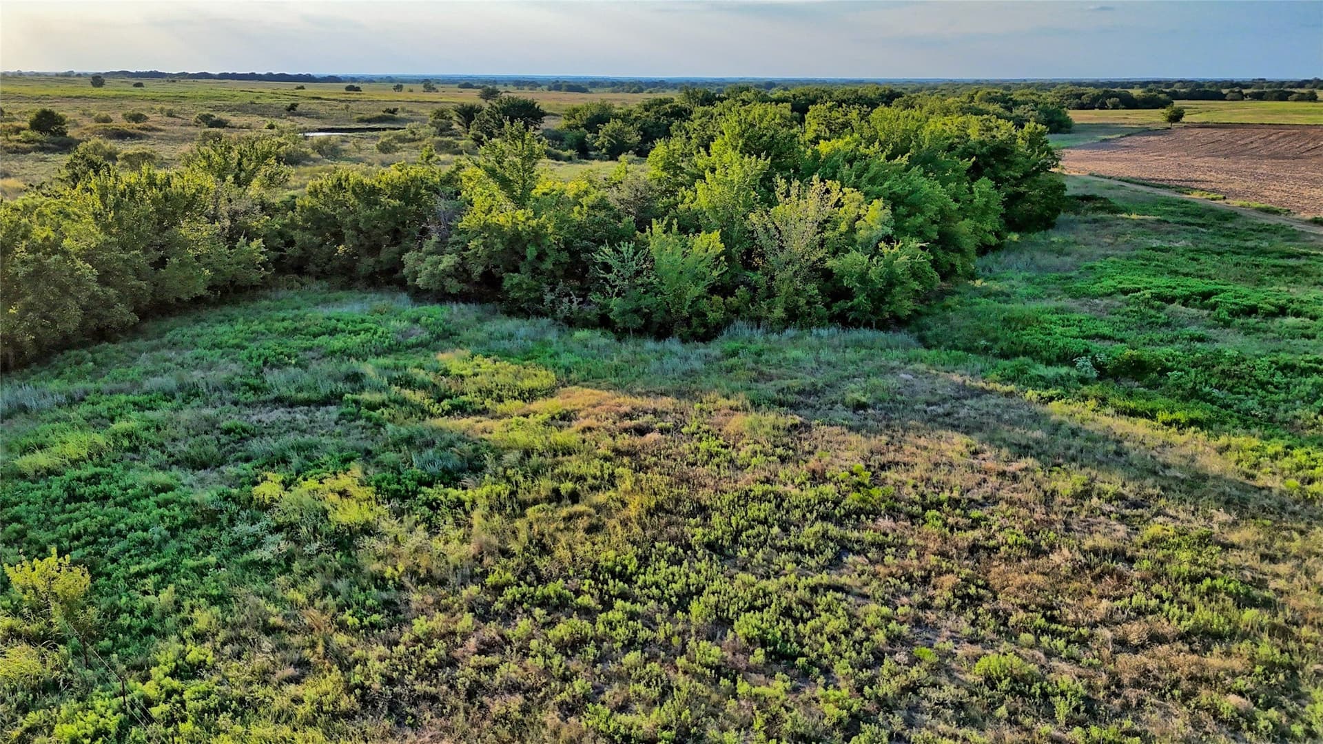 41.22 acres in Montague County - photo 29
