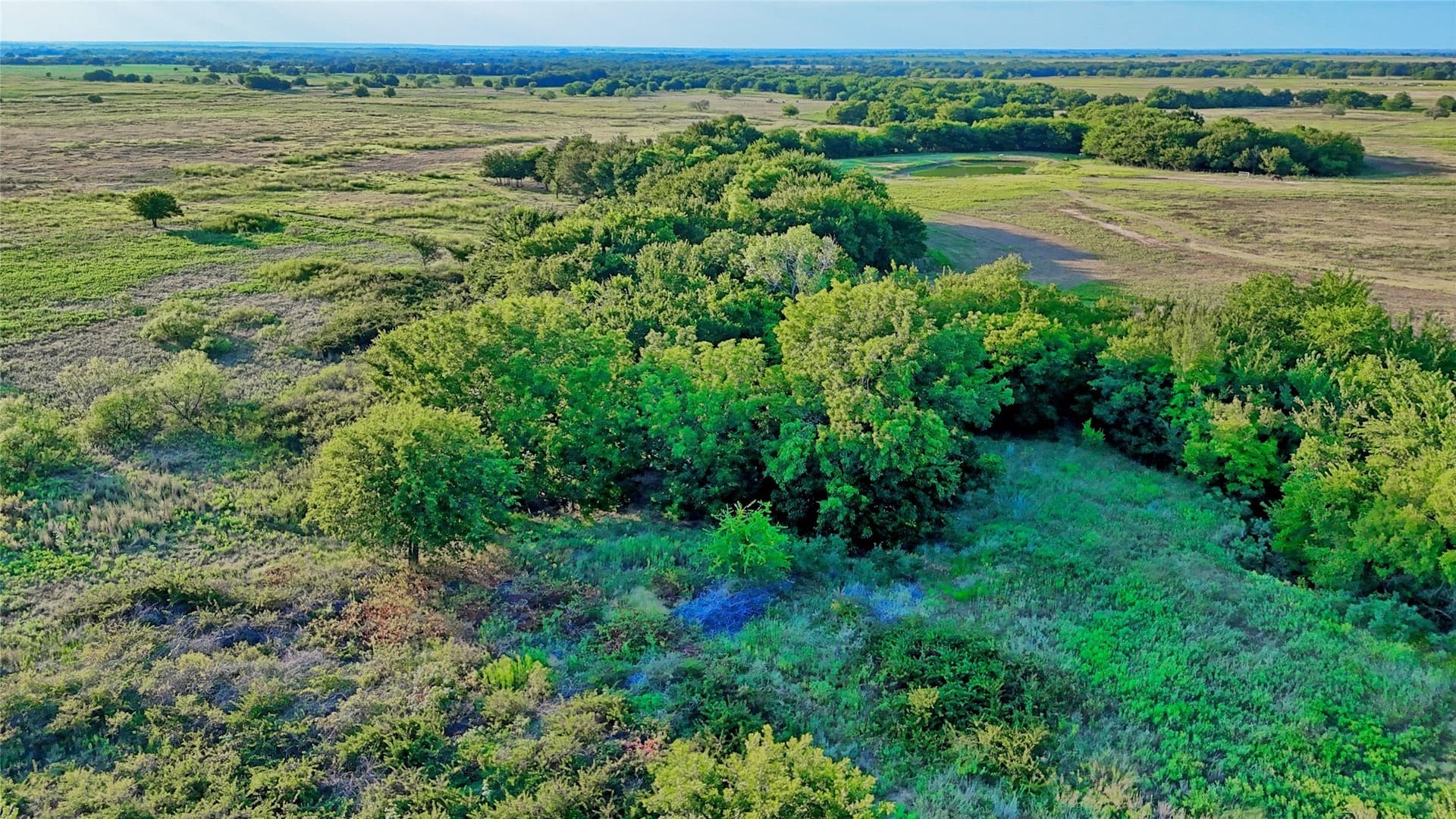 41.22 acres in Montague County - photo 15