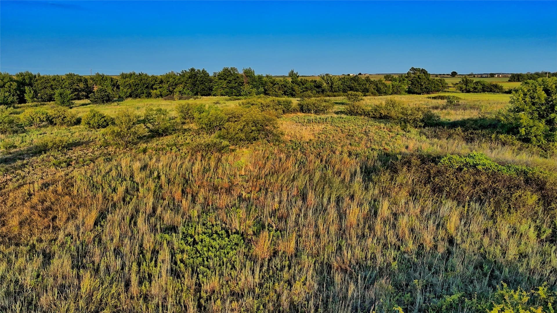 41.22 acres in Montague County - photo 21