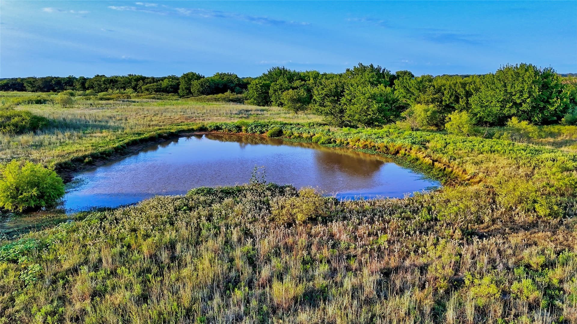 41.22 acres in Montague County - photo 9