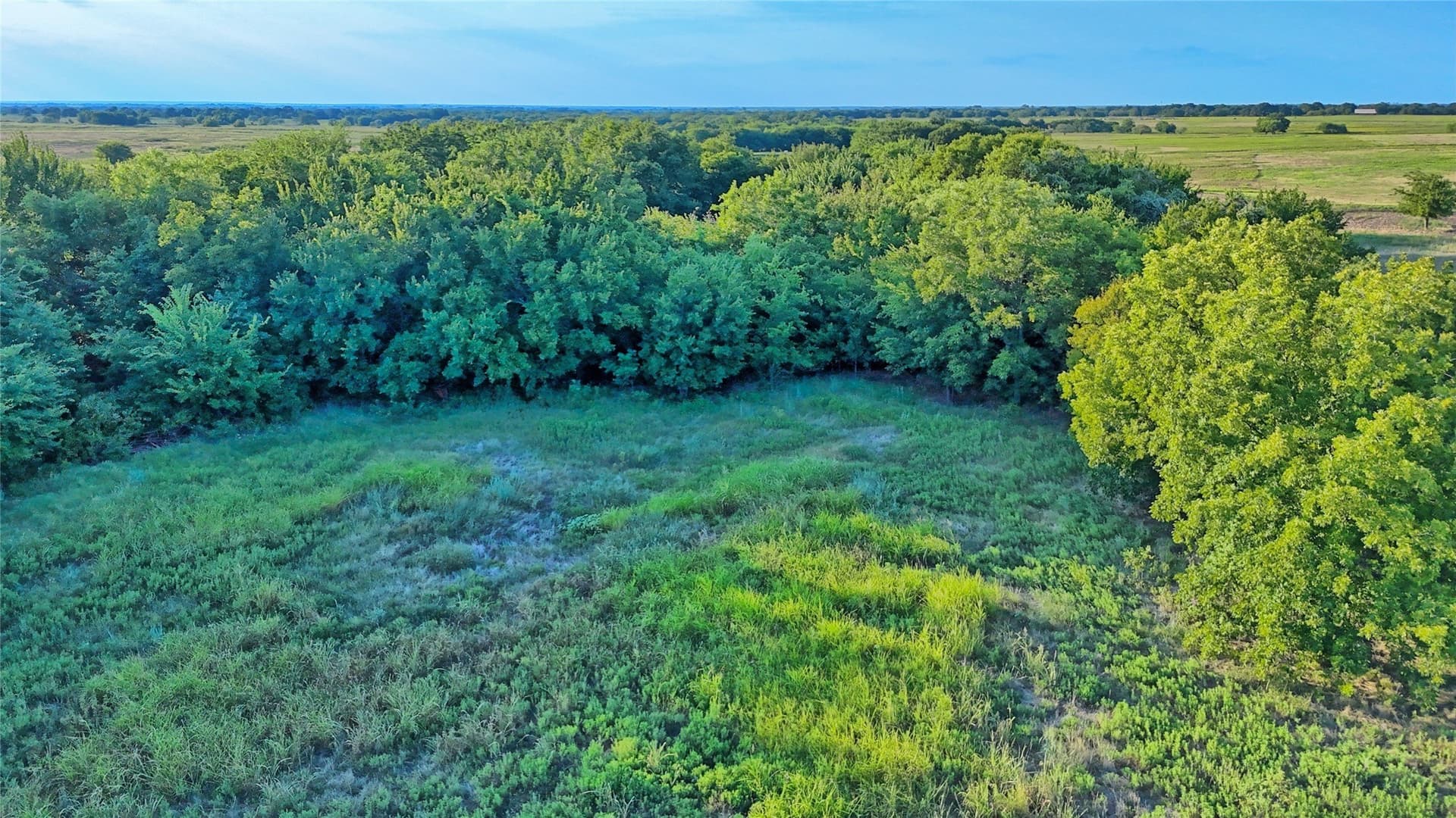 41.22 acres in Montague County - photo 20