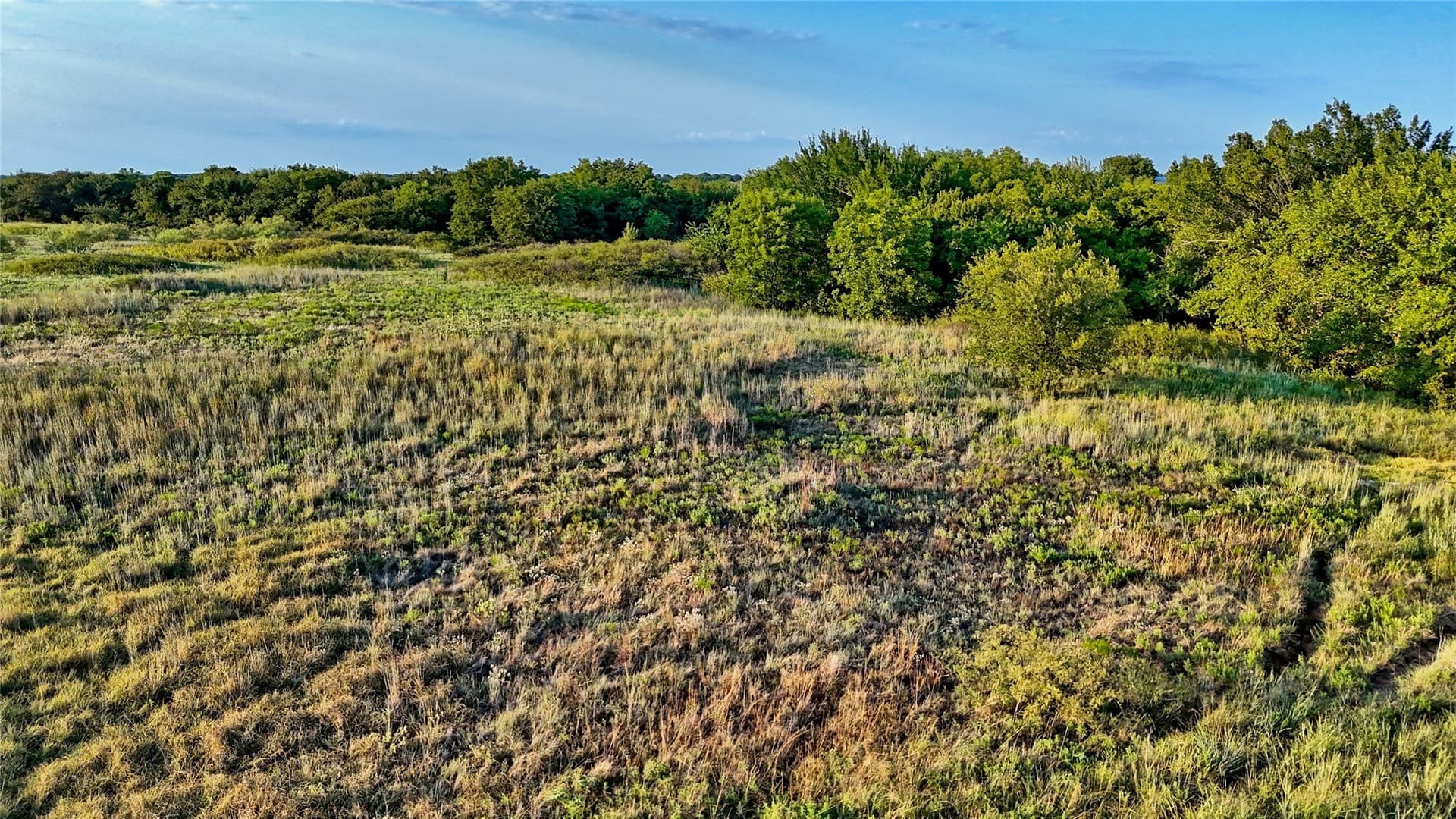 41.22 acres in Montague County - photo 7
