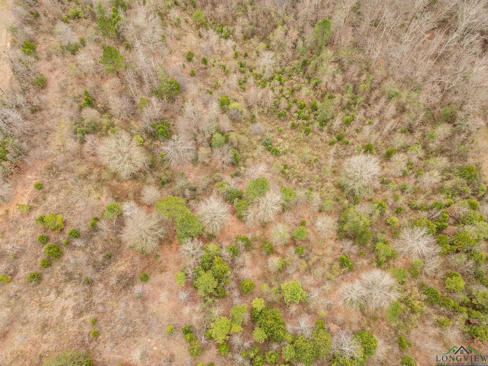 10 acres in Texas County gallery image 4