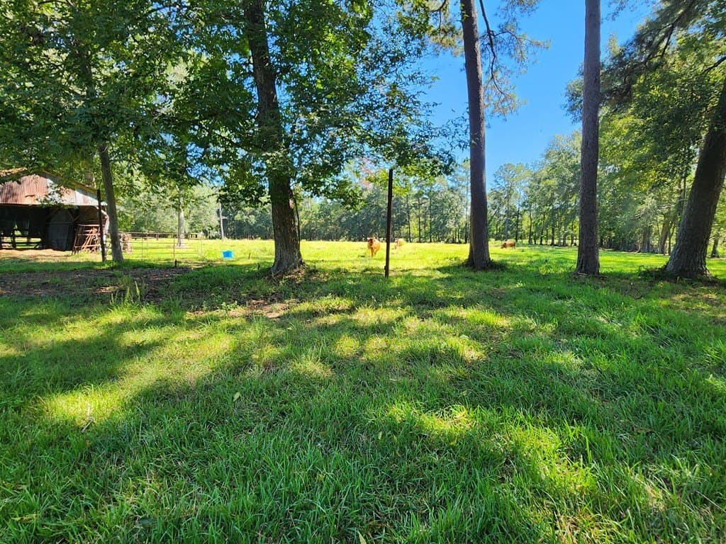 15.32 acres in Texas County featured view