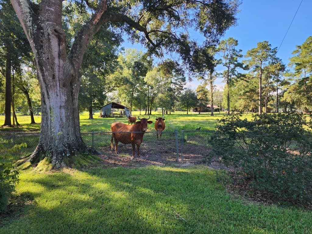 15.32 acres in Texas County gallery image 2