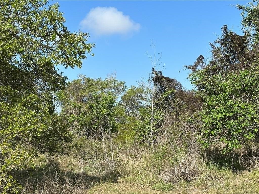 0.87 acres in San Patricio County gallery image 2
