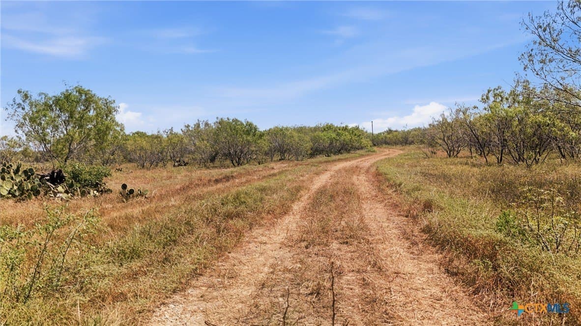 60.67 acres in Gonzales County - photo 6