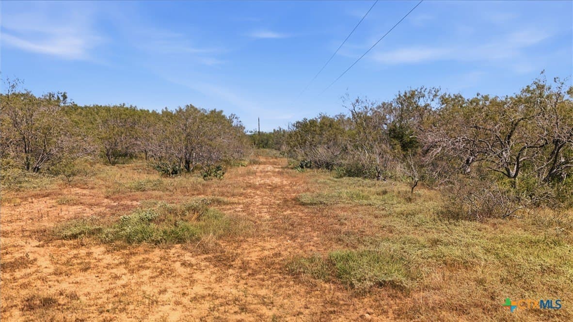 60.67 acres in Gonzales County - photo 4