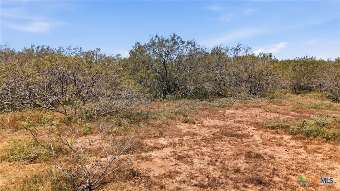 60.67 acres in Gonzales County - photo 3