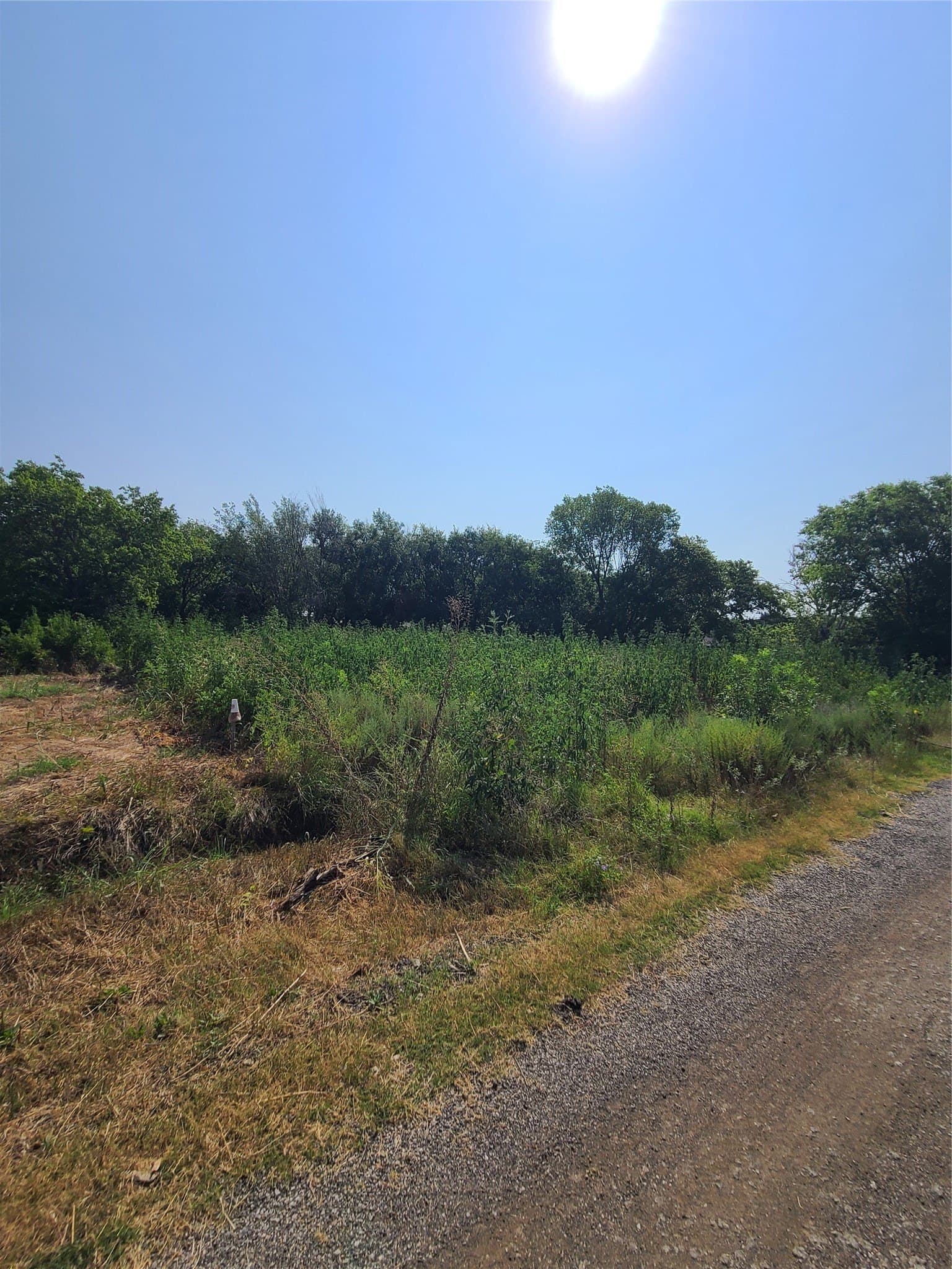0.26 acres in Dallas County - photo 9