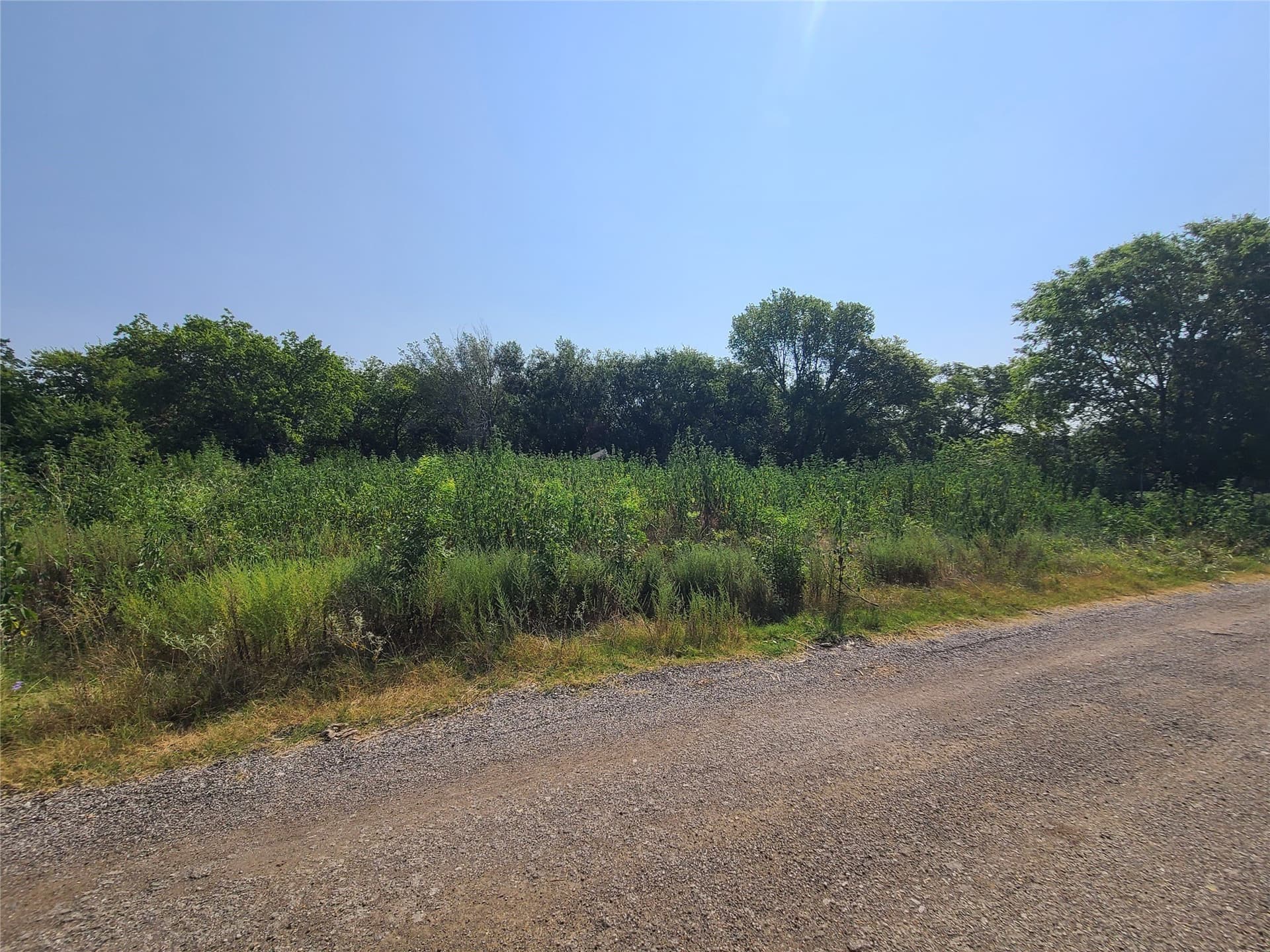 0.26 acres in Dallas County - photo 7