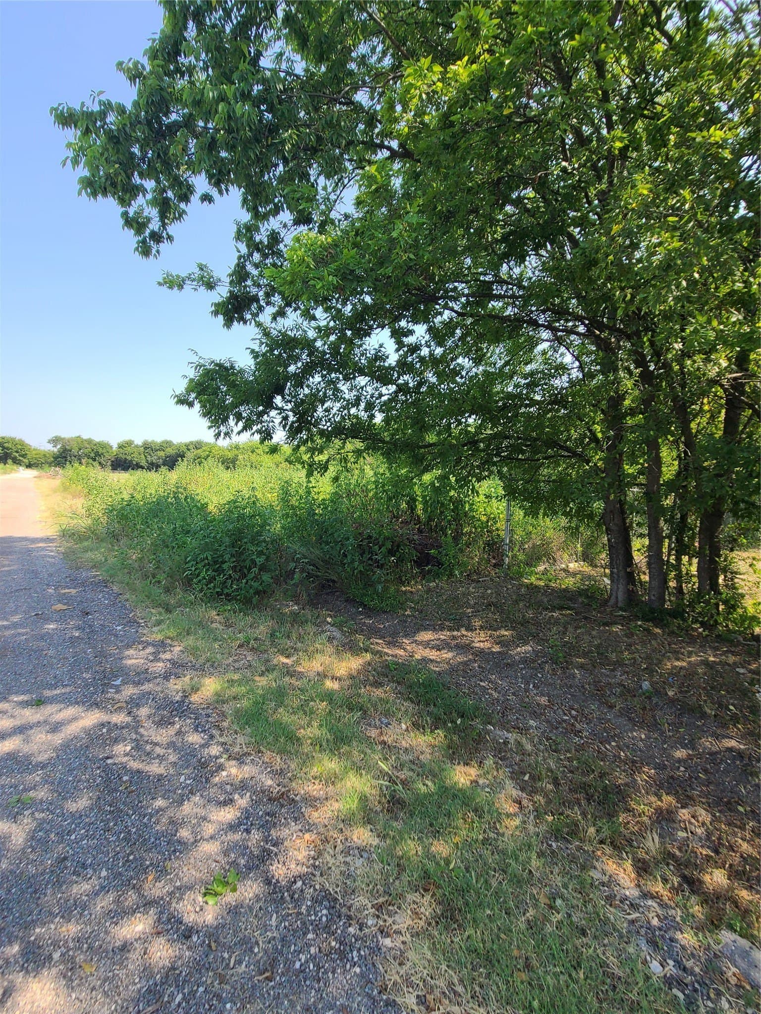 0.26 acres in Dallas County gallery image 3