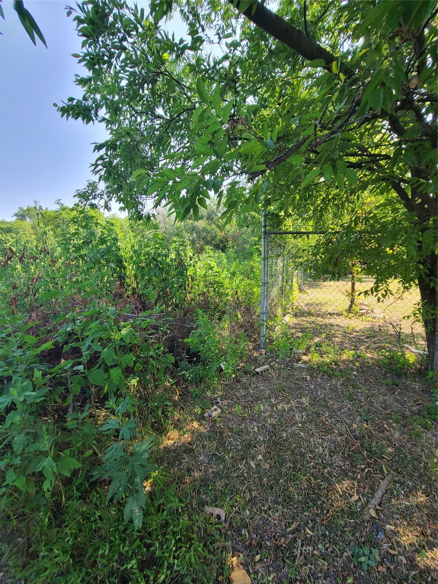 0.26 acres in Dallas County gallery image 2