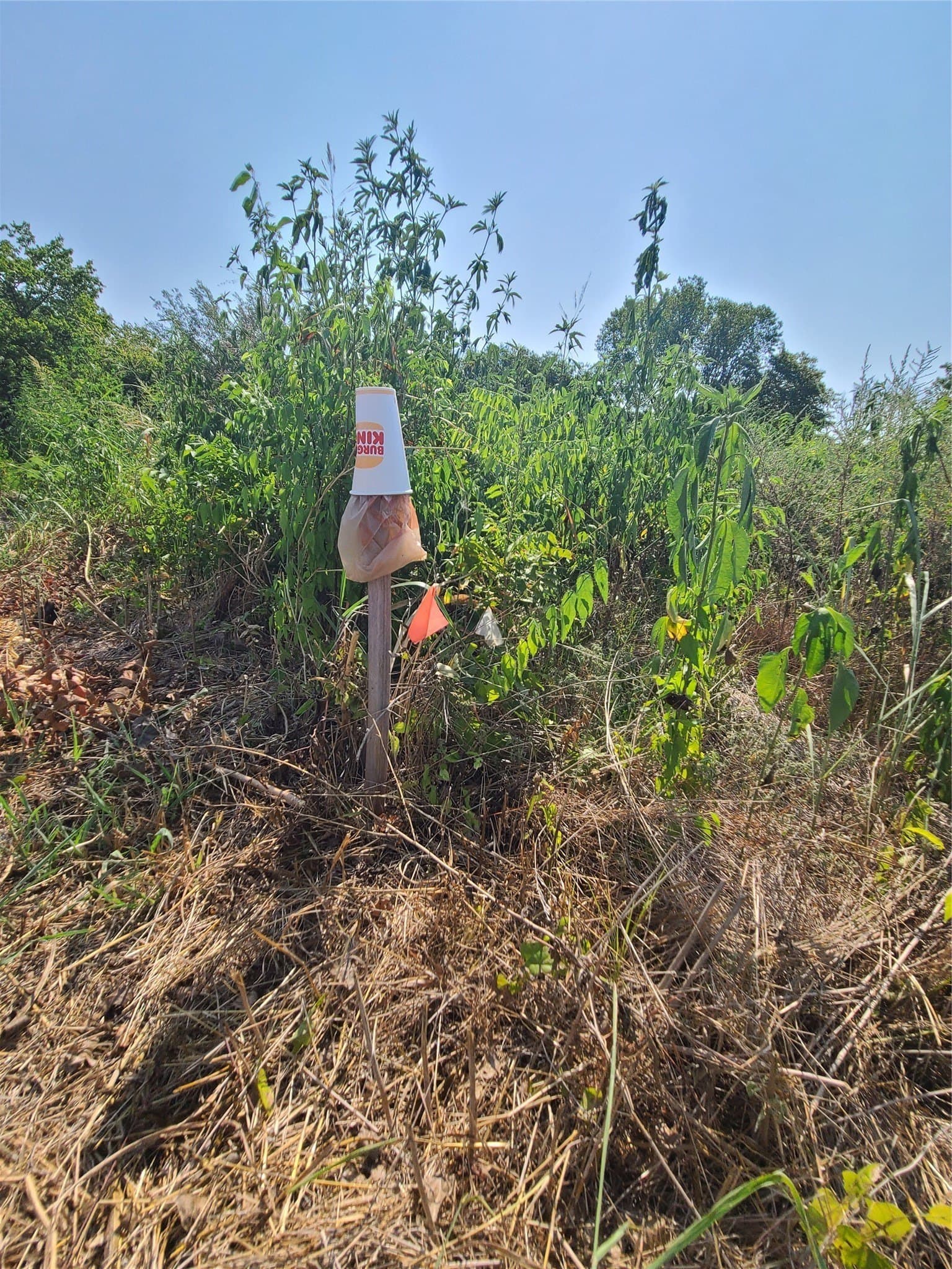 0.26 acres in Dallas County - photo 6