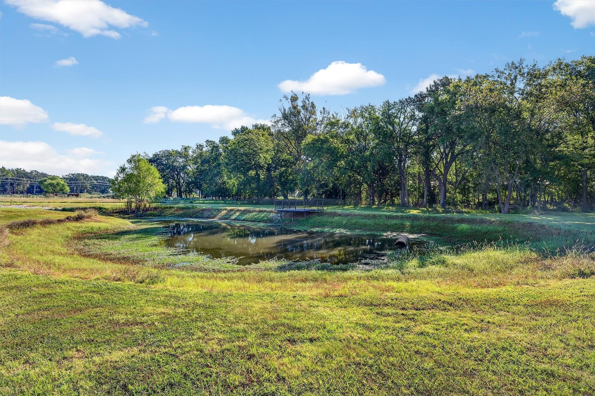 20 acres in Grayson County - photo 34