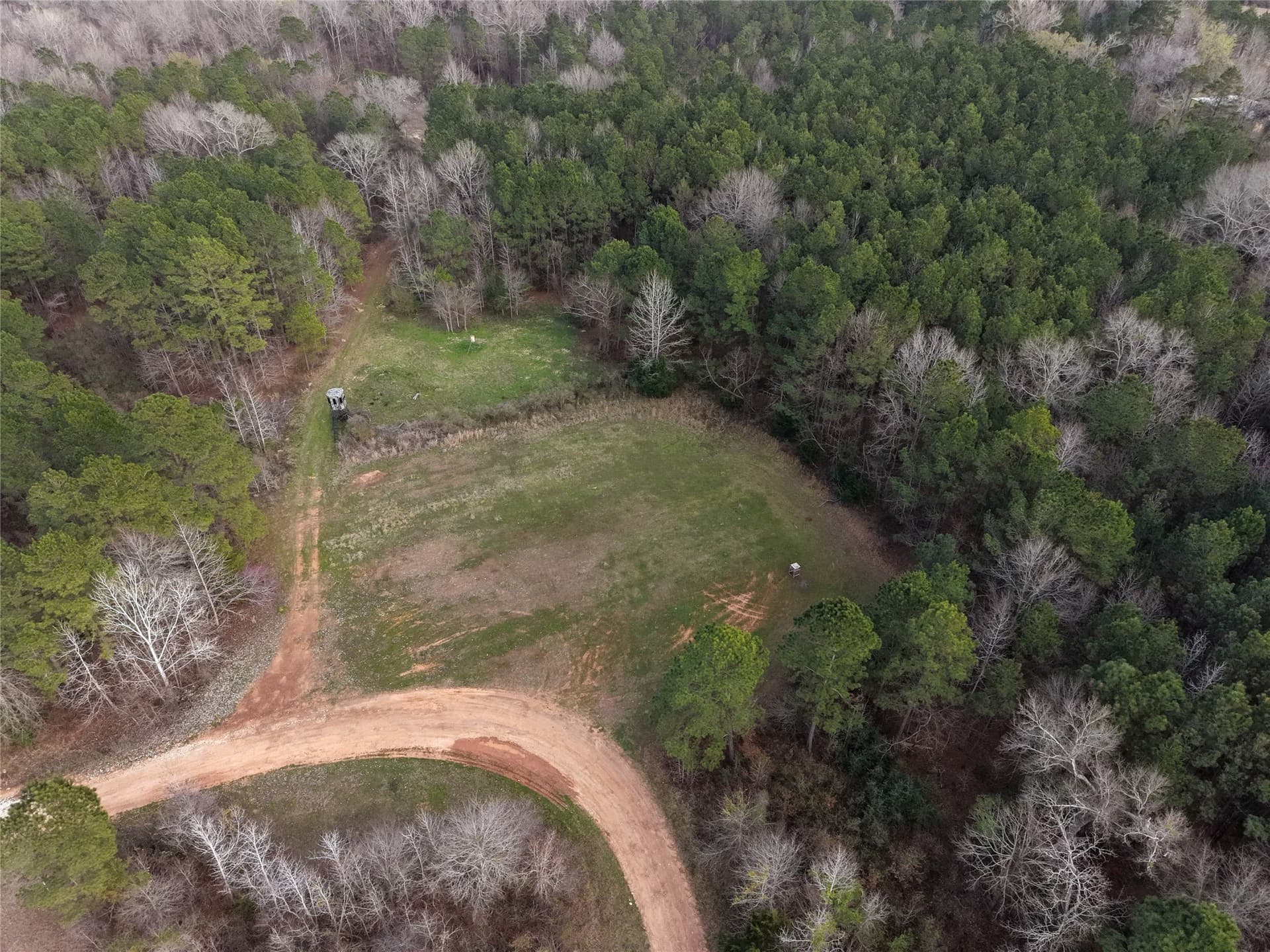 115.74 acres in Panola County - photo 25