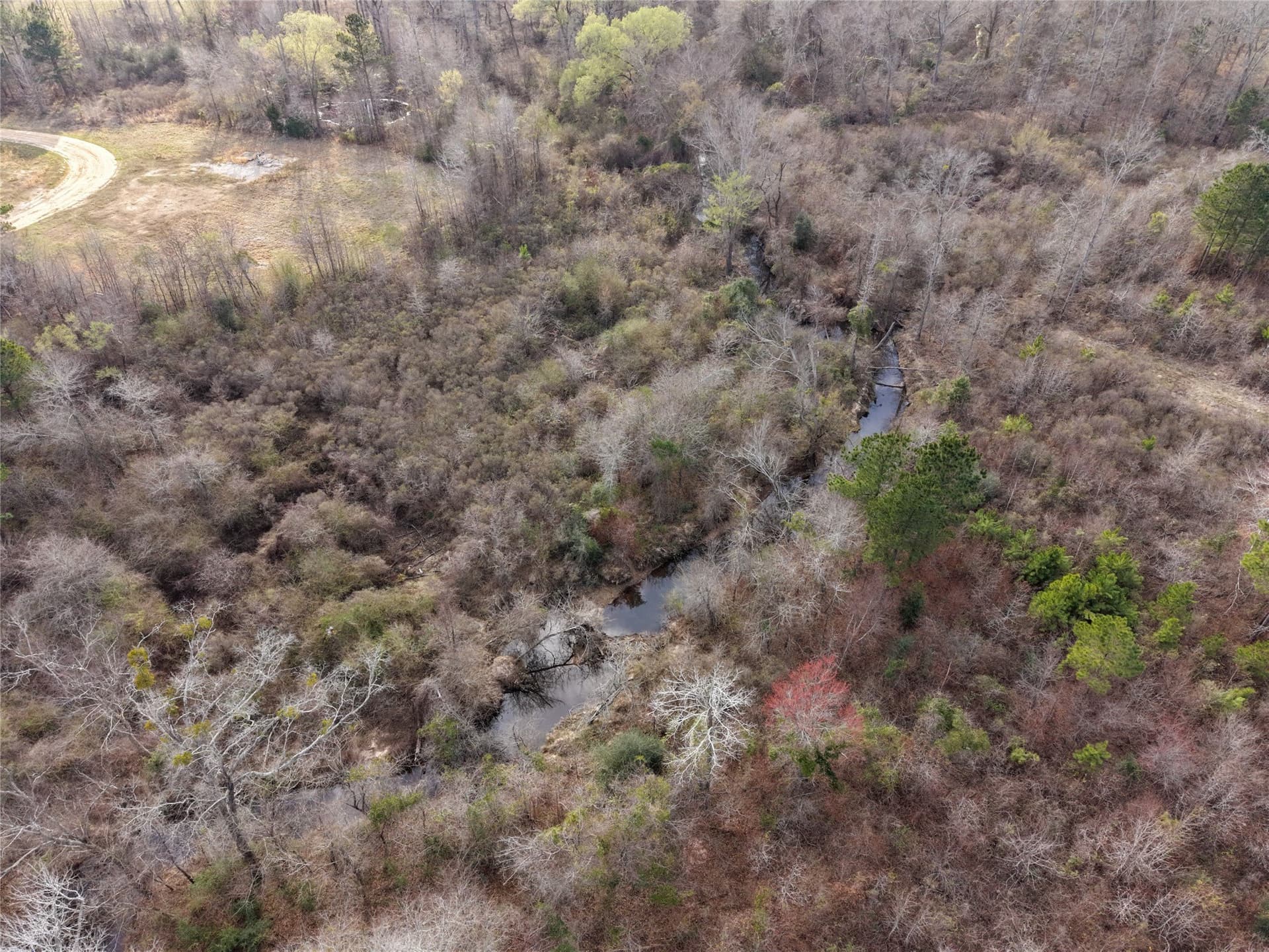 115.74 acres in Panola County - photo 18