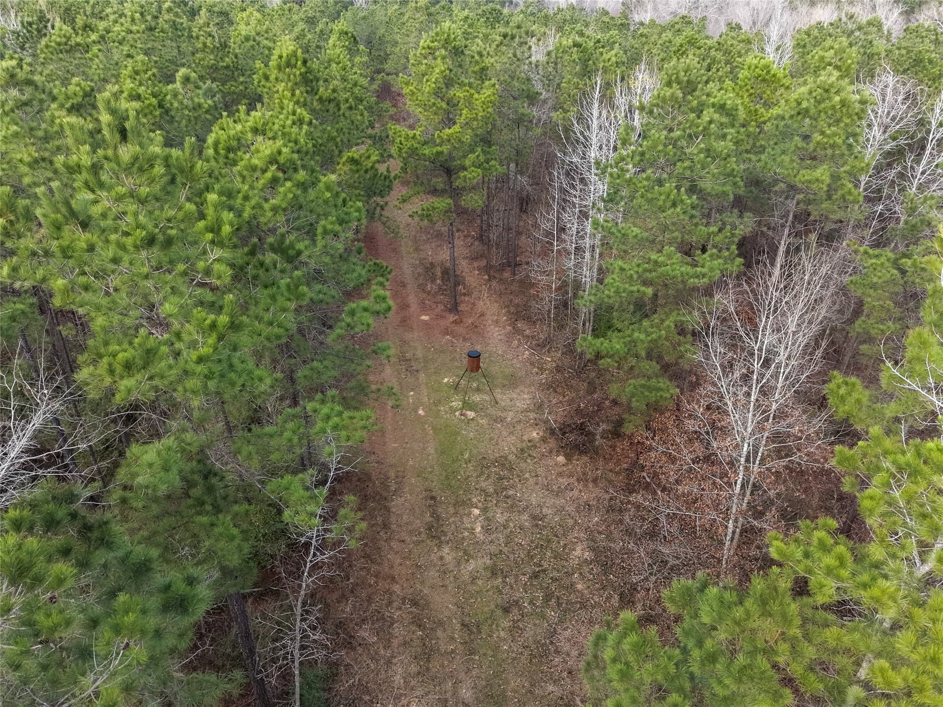 115.74 acres in Panola County - photo 23