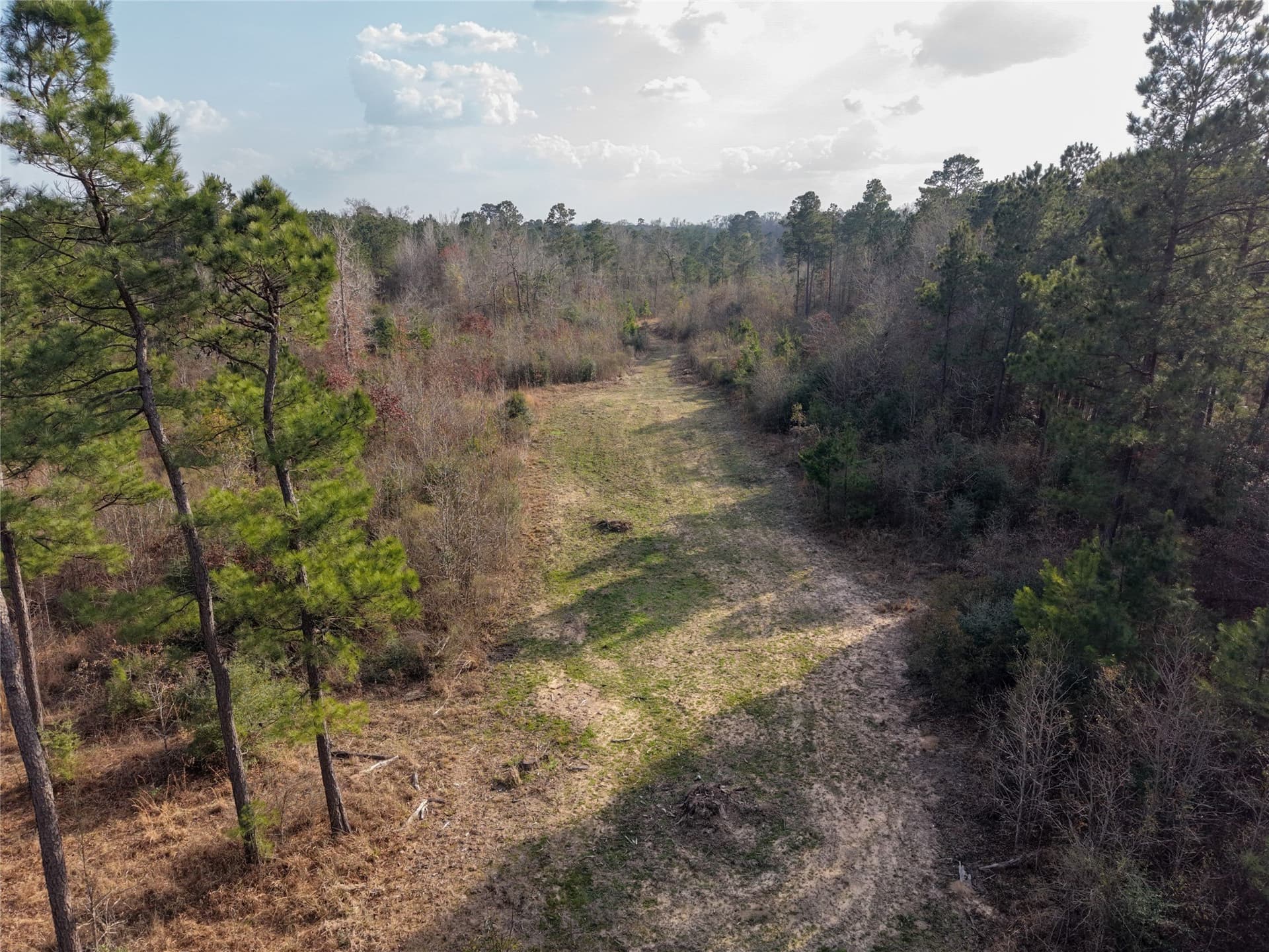 115.74 acres in Panola County - photo 11