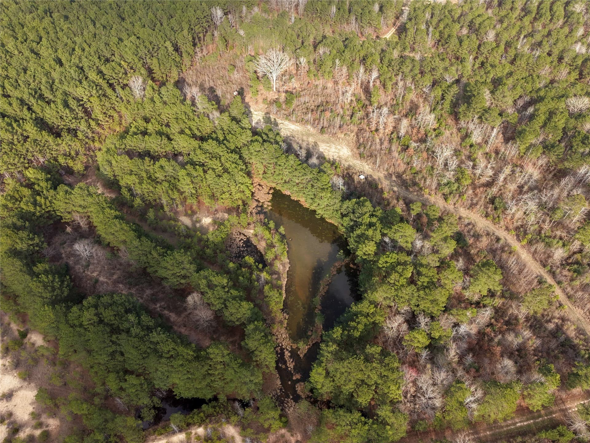 115.74 acres in Panola County - photo 13