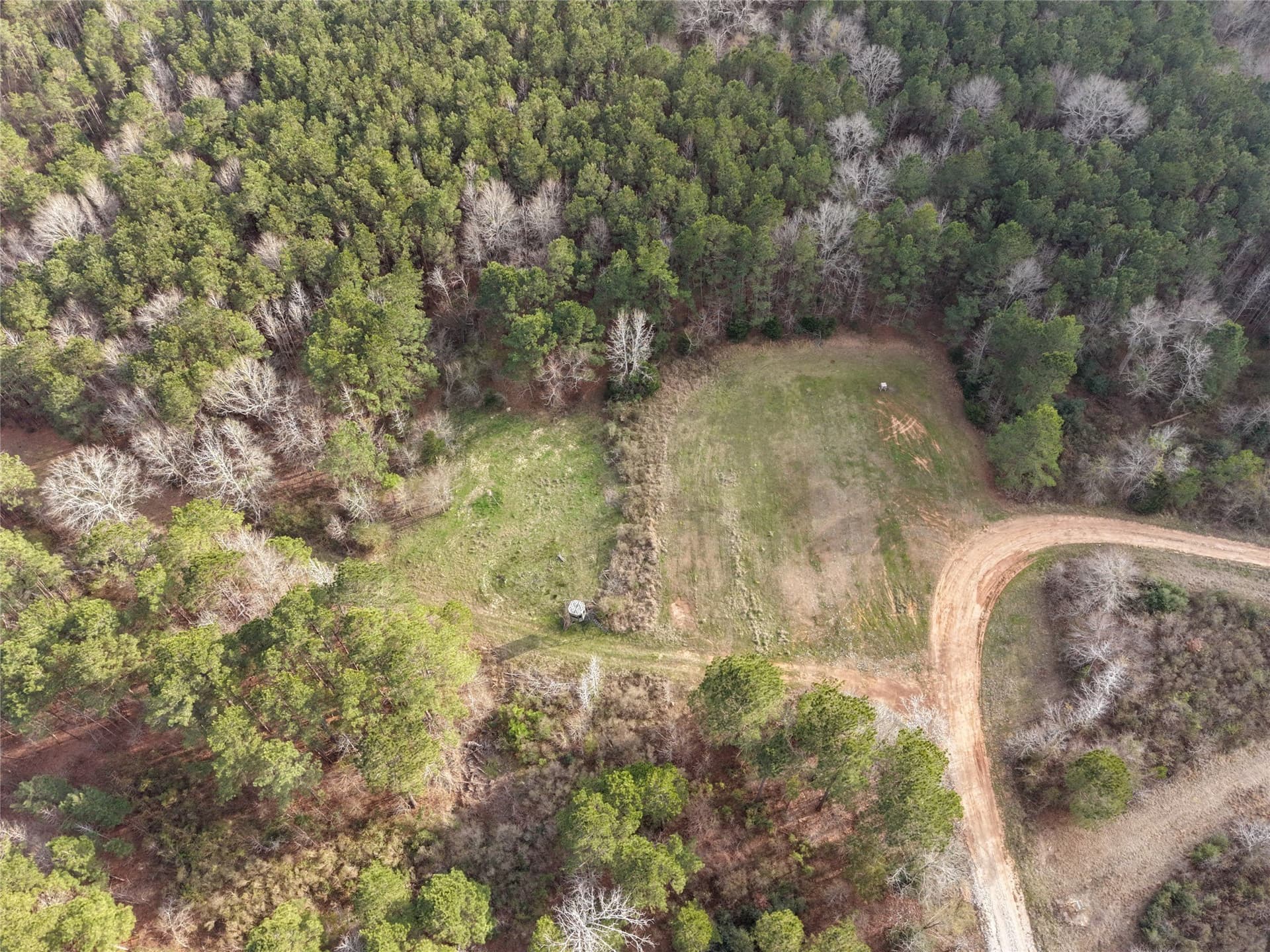 115.74 acres in Panola County - photo 14