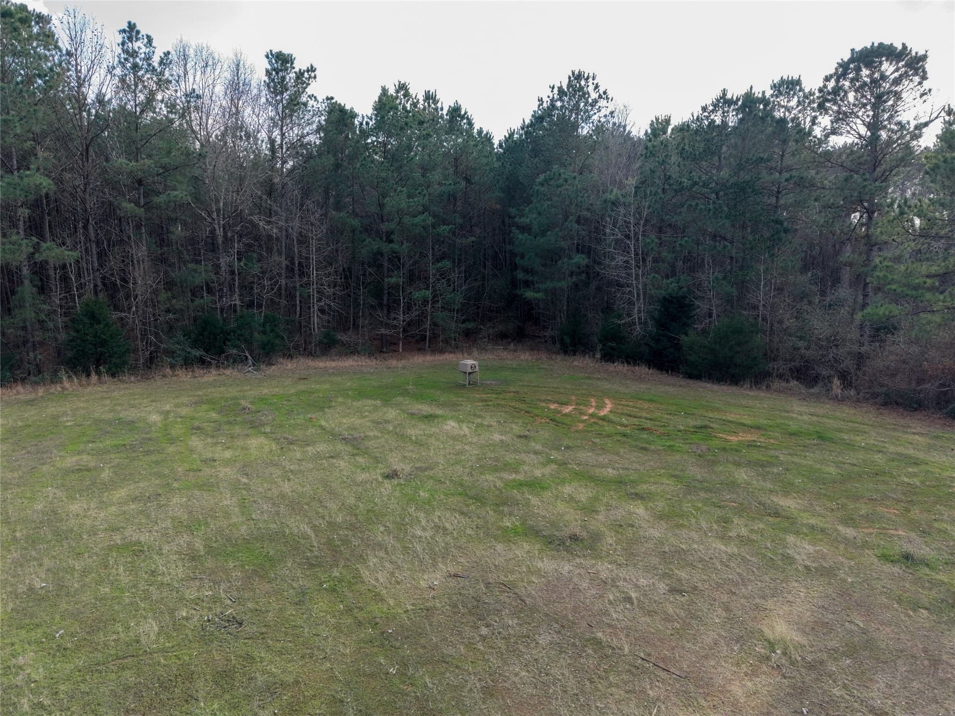 115.74 acres in Panola County - photo 2