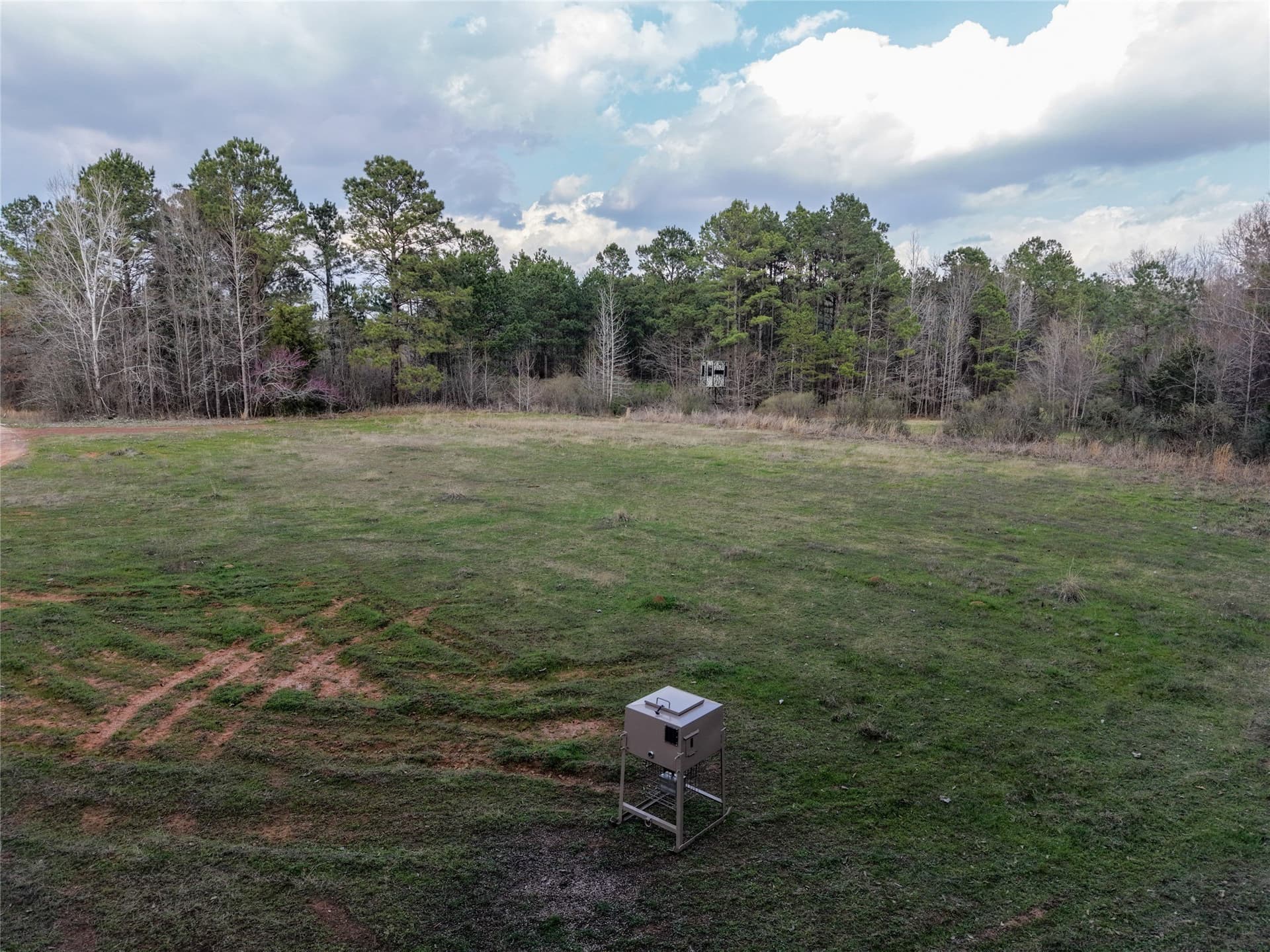115.74 acres in Panola County - photo 30