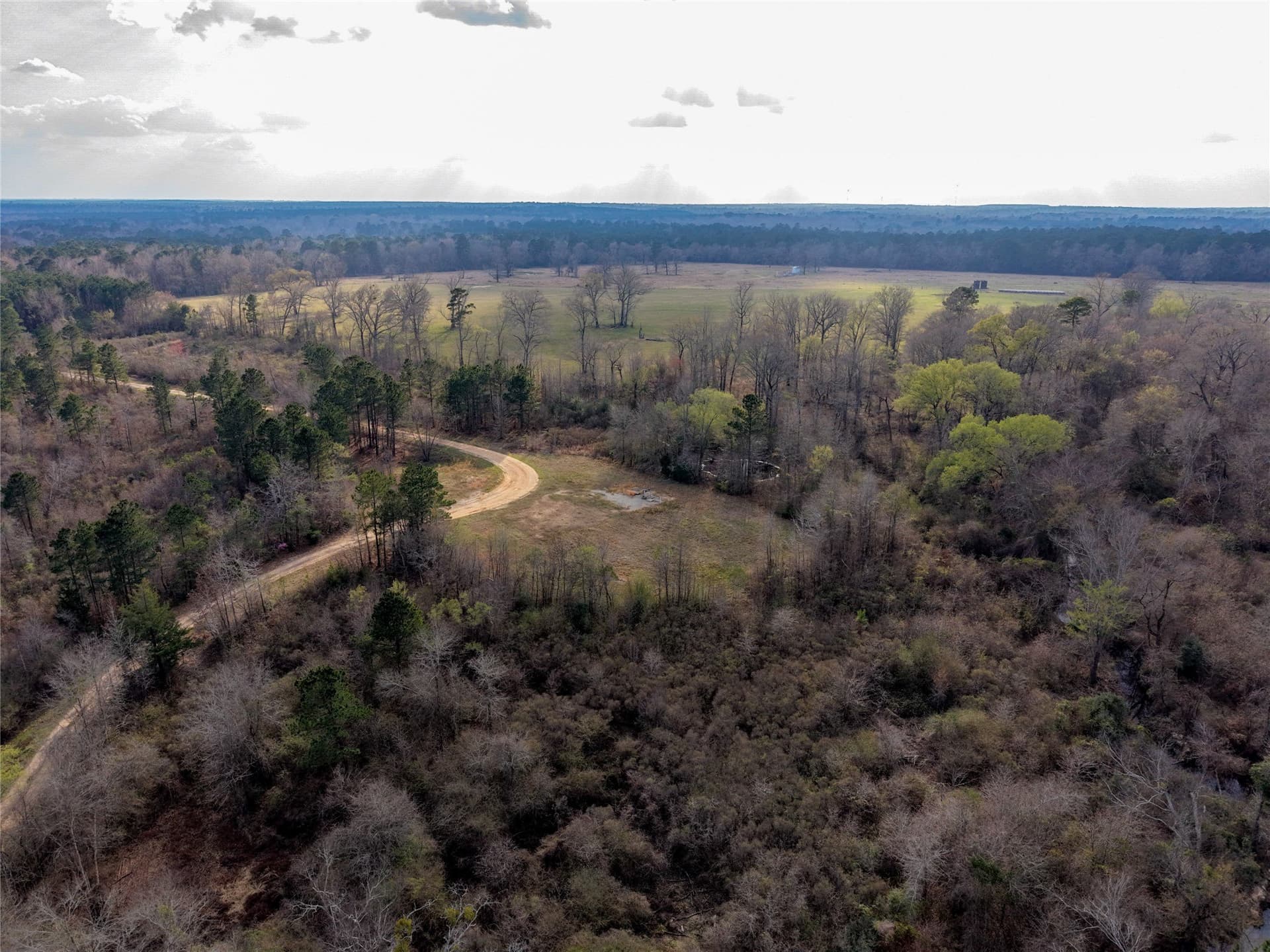 115.74 acres in Panola County - photo 19