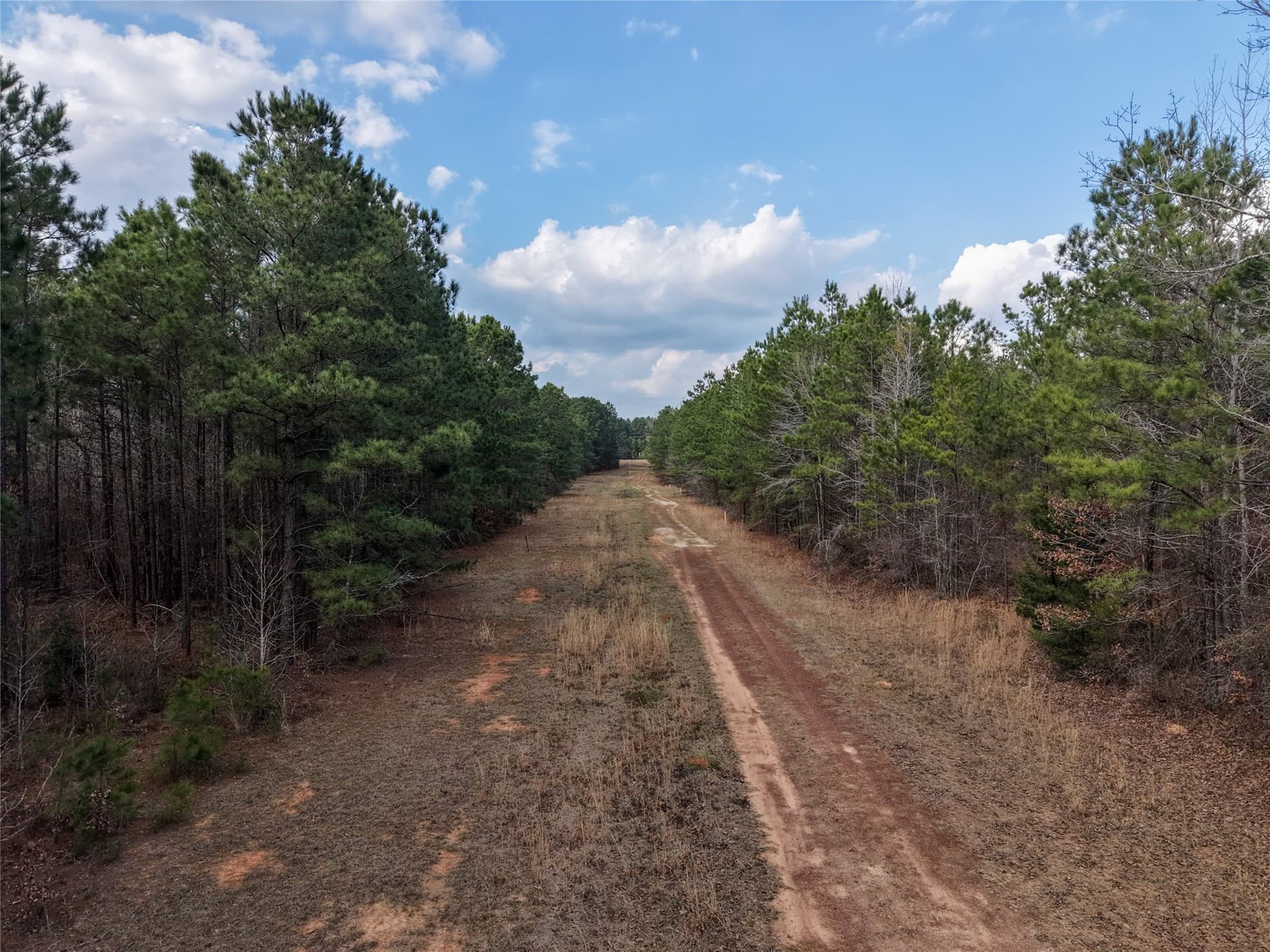 115.74 acres in Panola County - photo 21