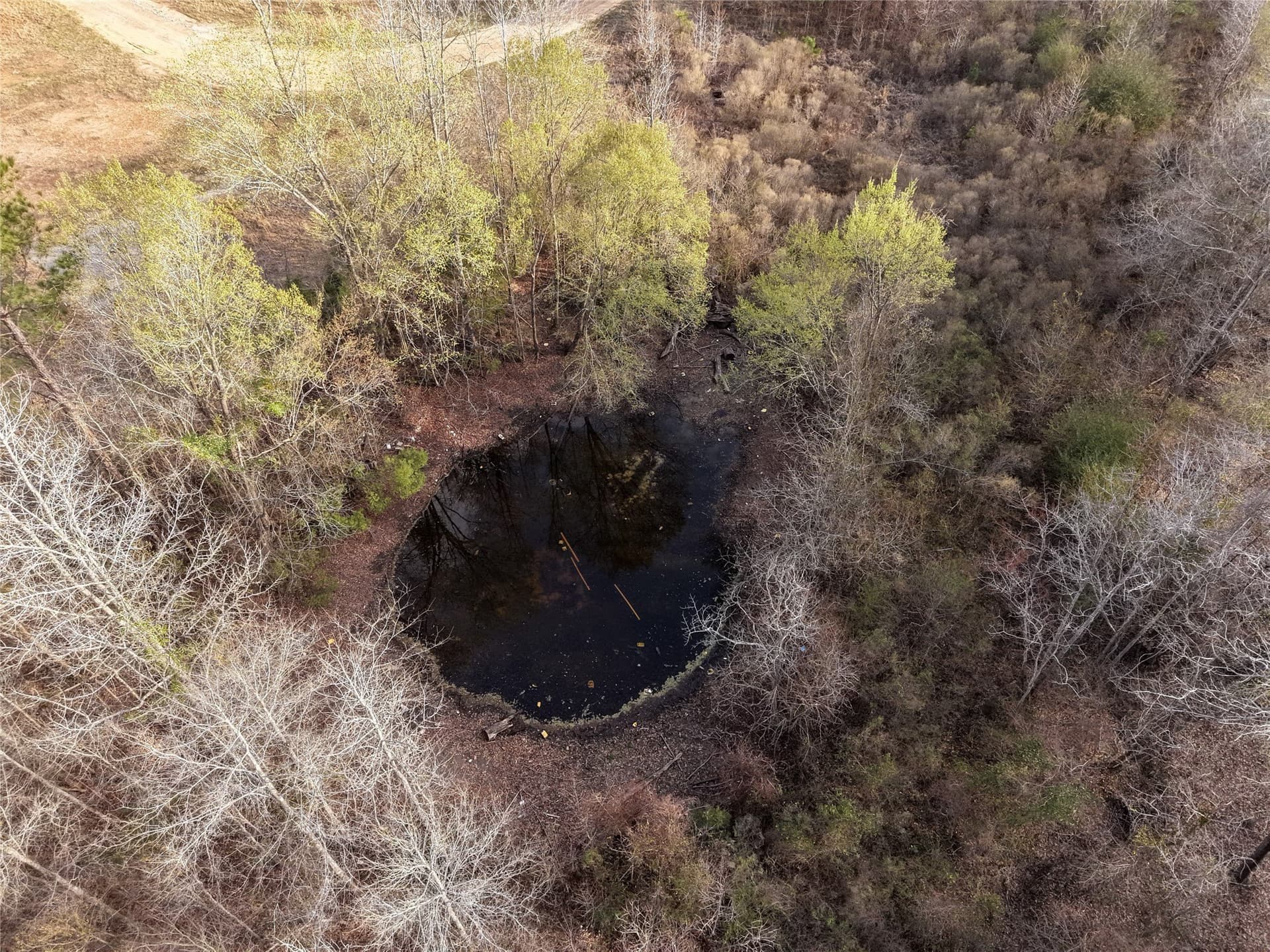 115.74 acres in Panola County - photo 27