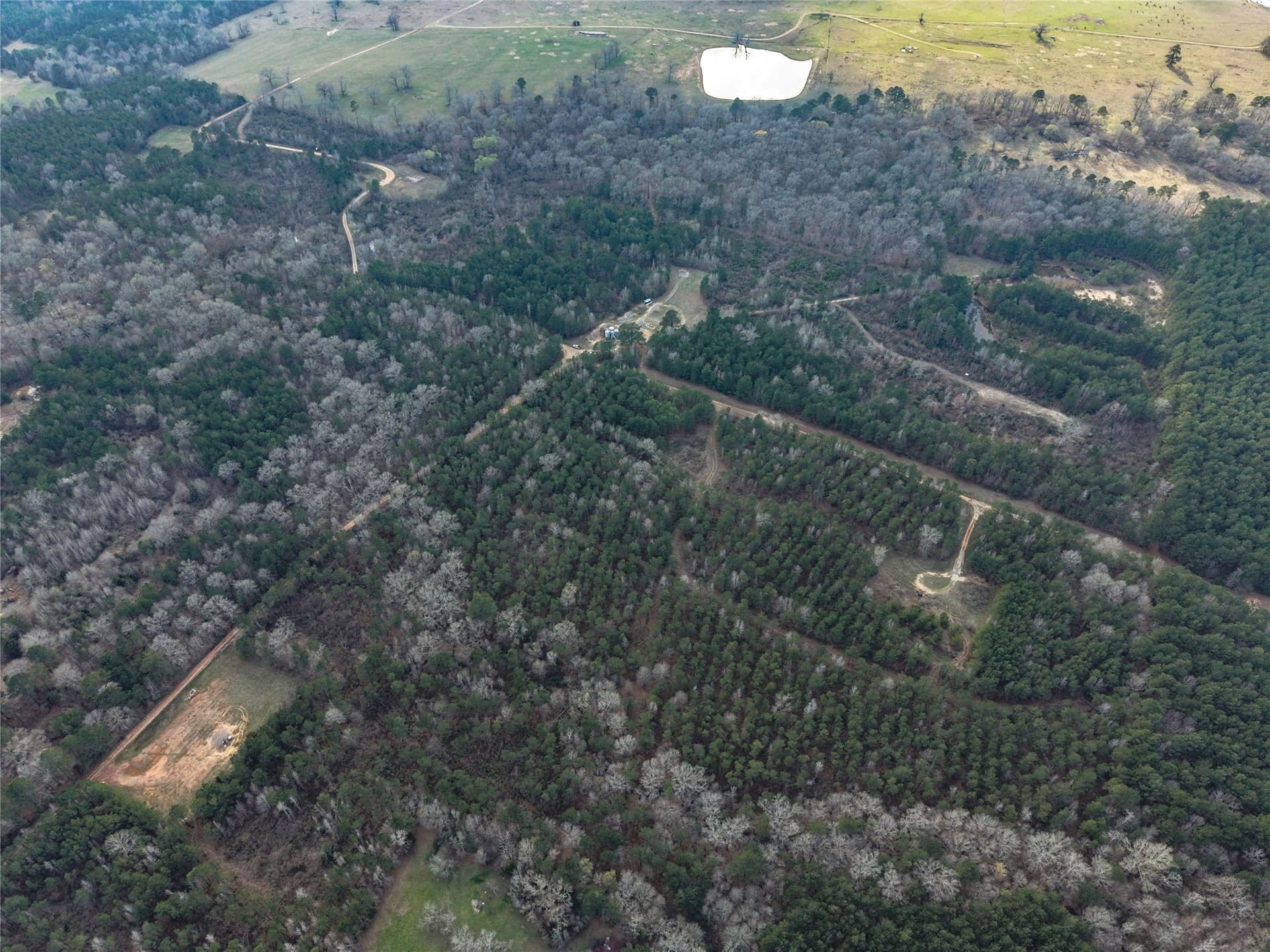 115.74 acres in Panola County - photo 24