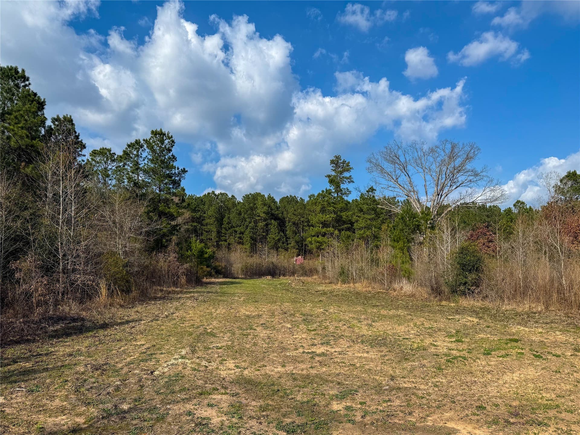 115.74 acres in Panola County - photo 4