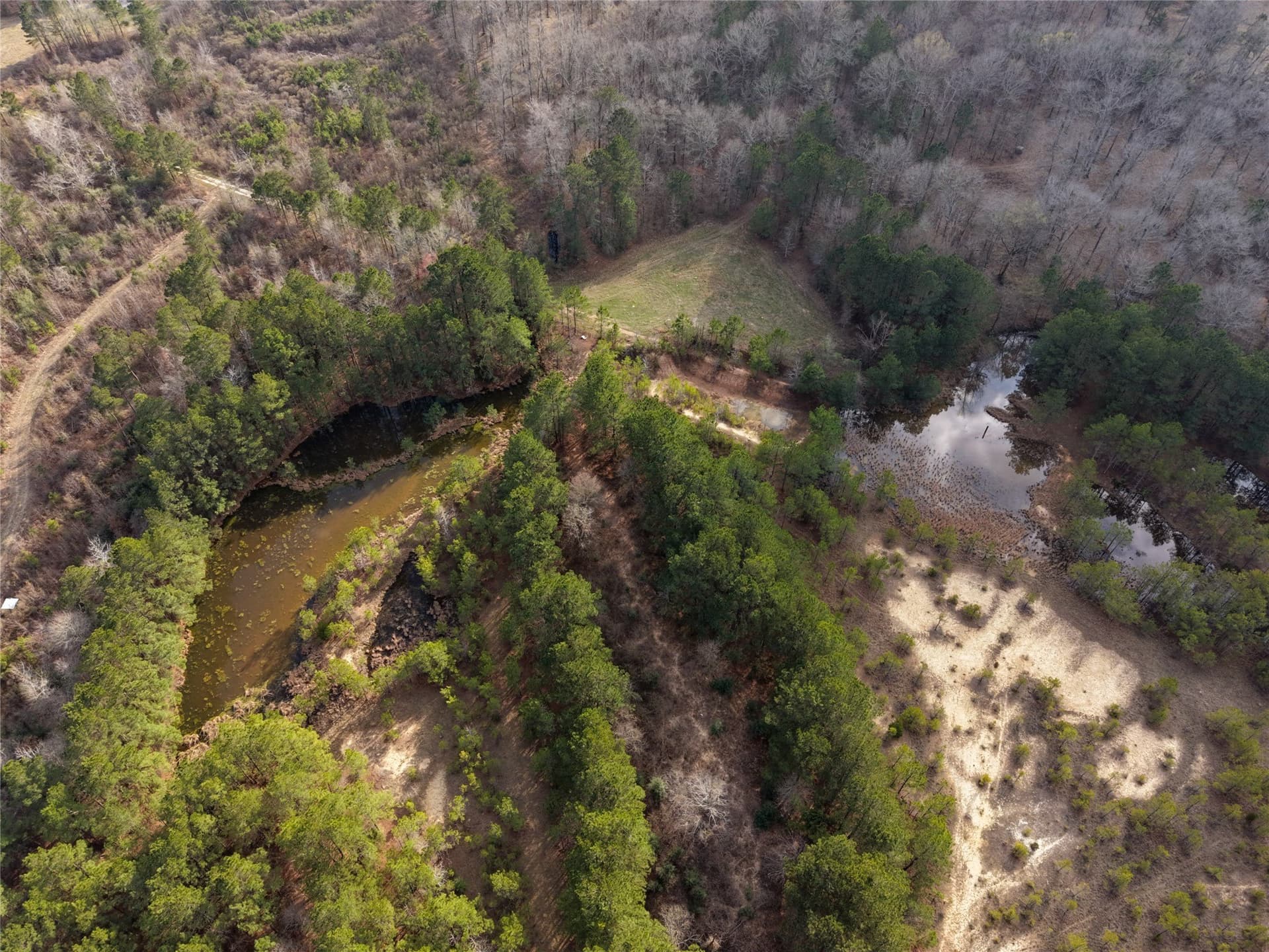 115.74 acres in Panola County - photo 12