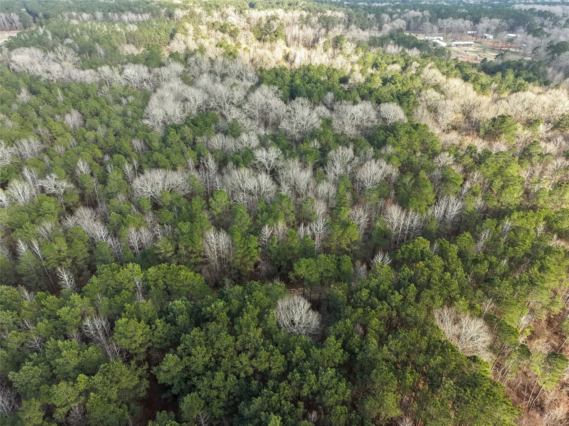 115.74 acres in Panola County - photo 29