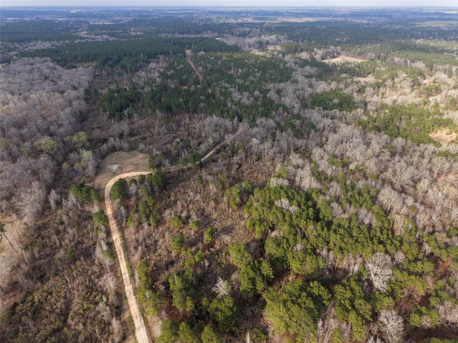 115.74 acres in Panola County - photo 16