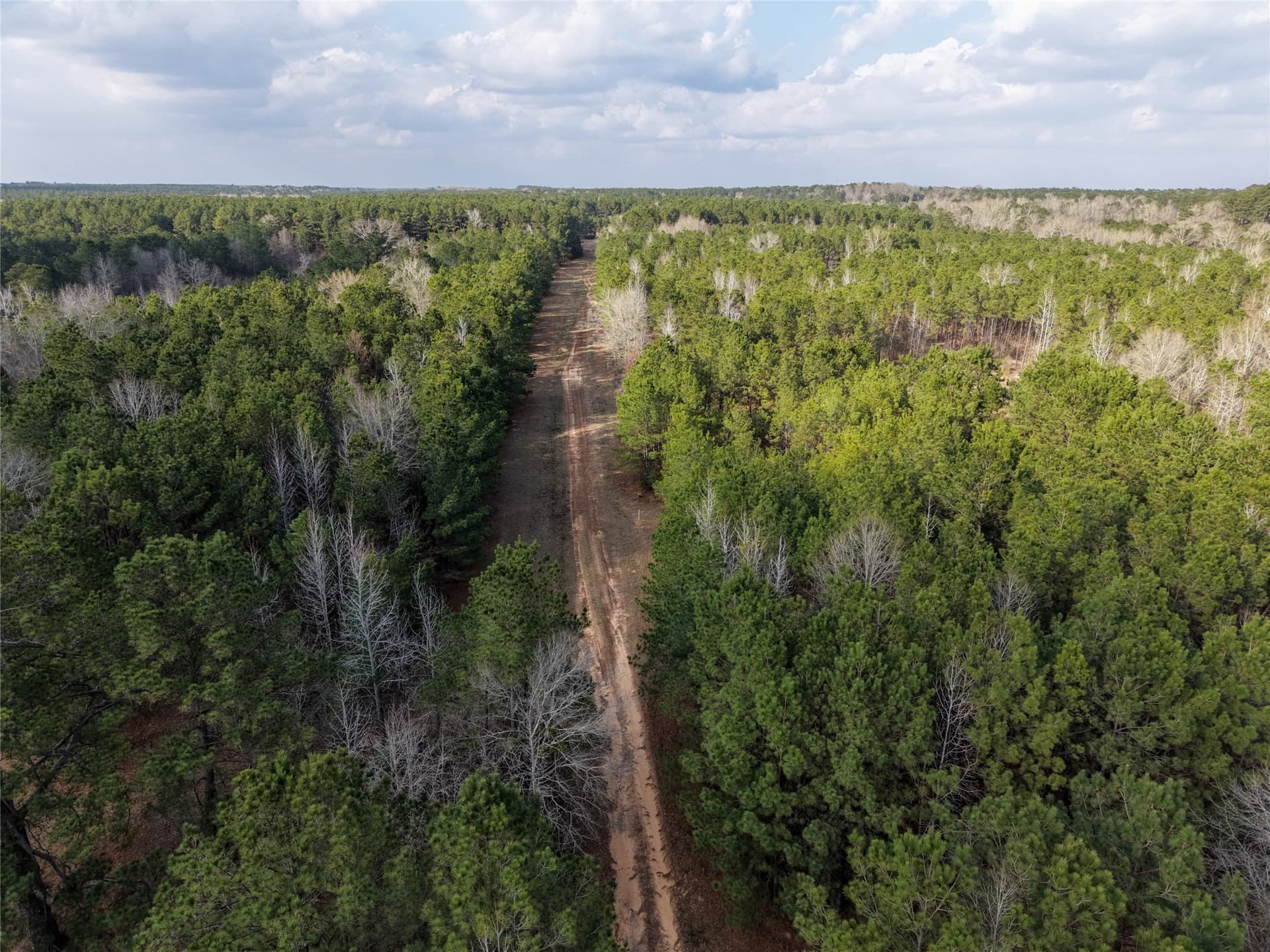 115.74 acres in Panola County - photo 8