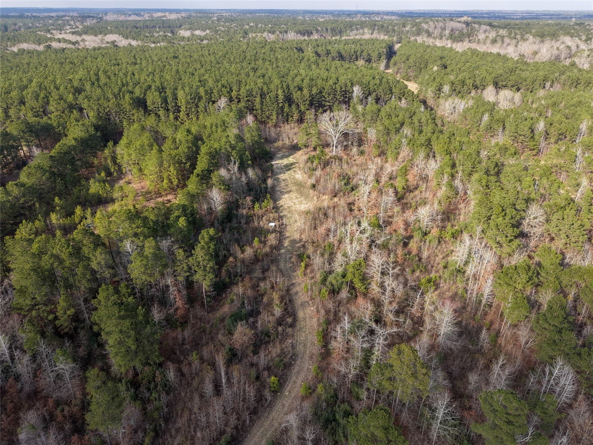 115.74 acres in Panola County - photo 9