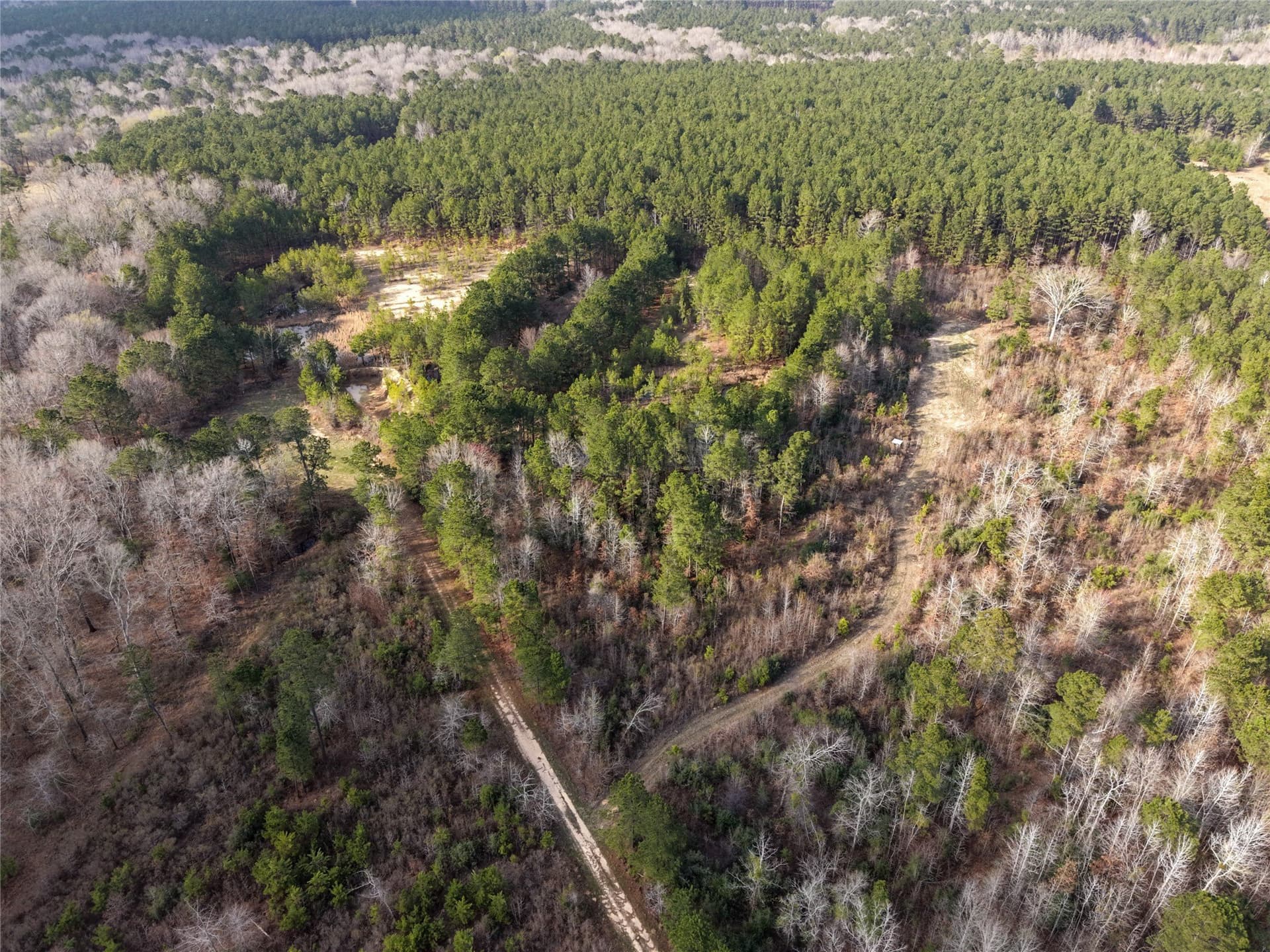 115.74 acres in Panola County - photo 10