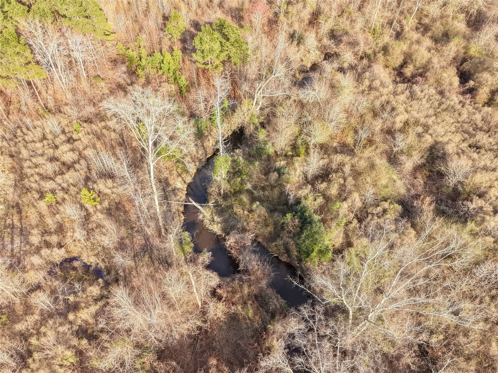 115.74 acres in Panola County - photo 28