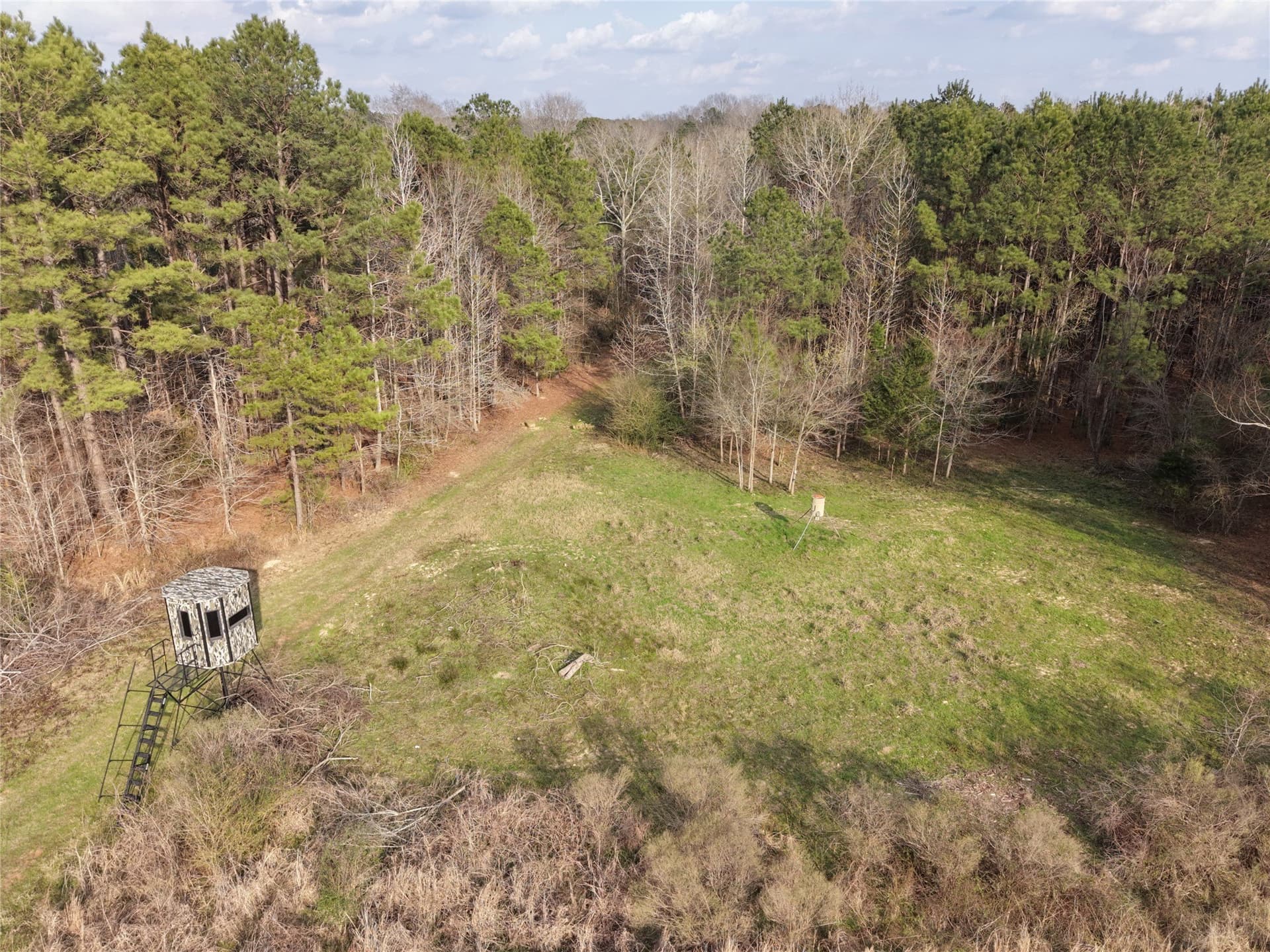 115.74 acres in Panola County - photo 3