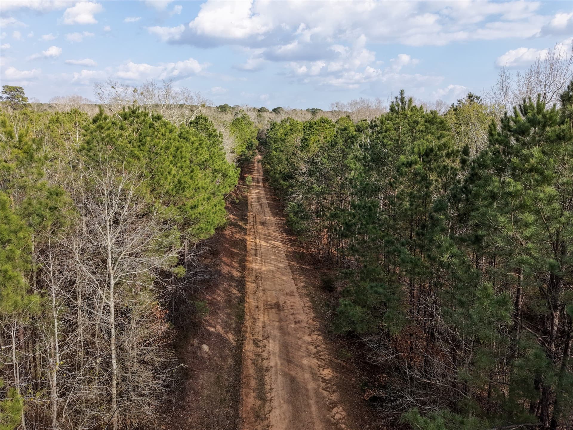115.74 acres in Panola County - photo 7