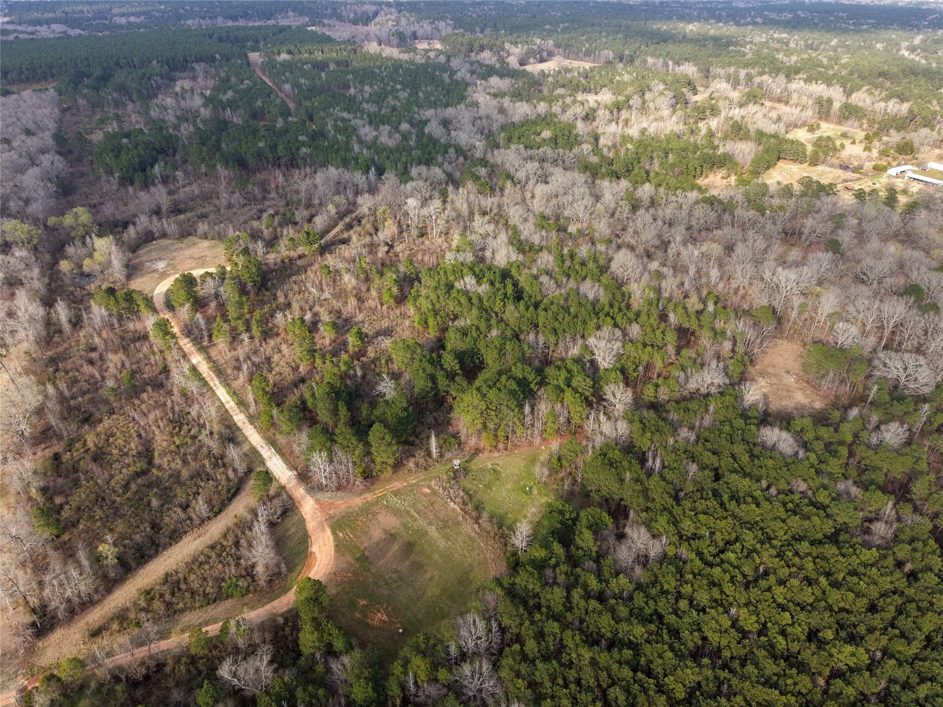 115.74 acres in Panola County - photo 15
