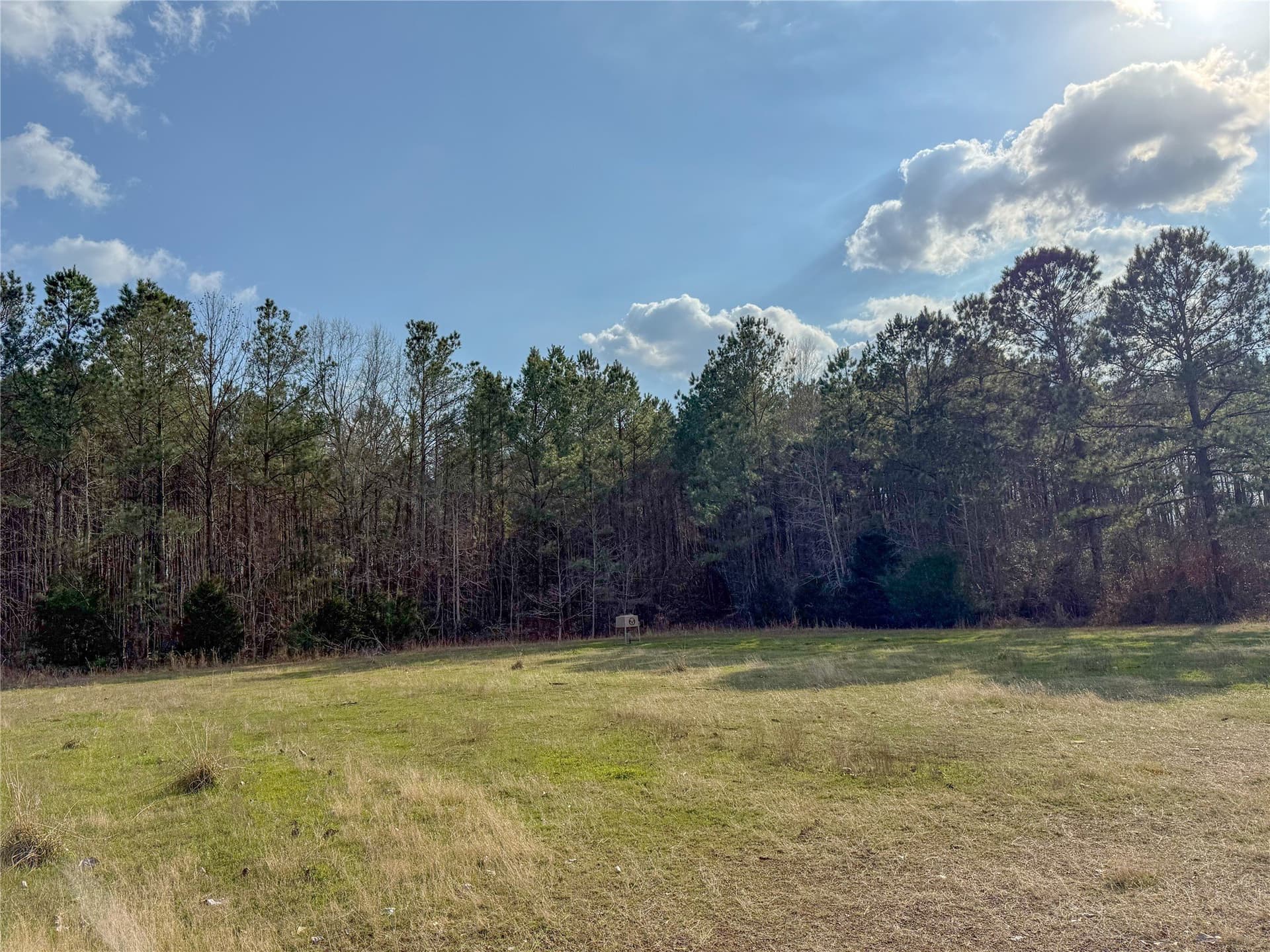 115.74 acres in Panola County - photo 6