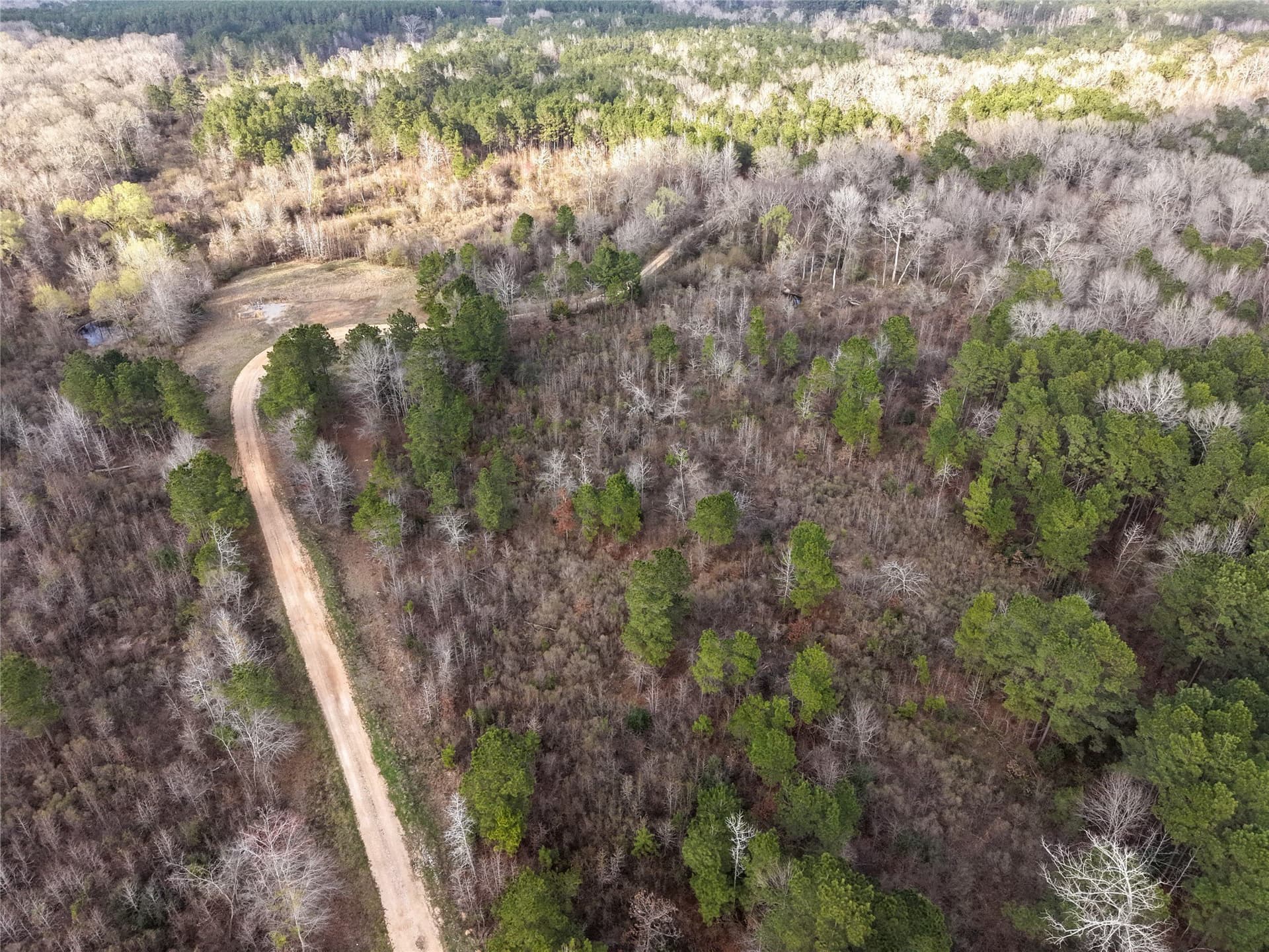 115.74 acres in Panola County - photo 26