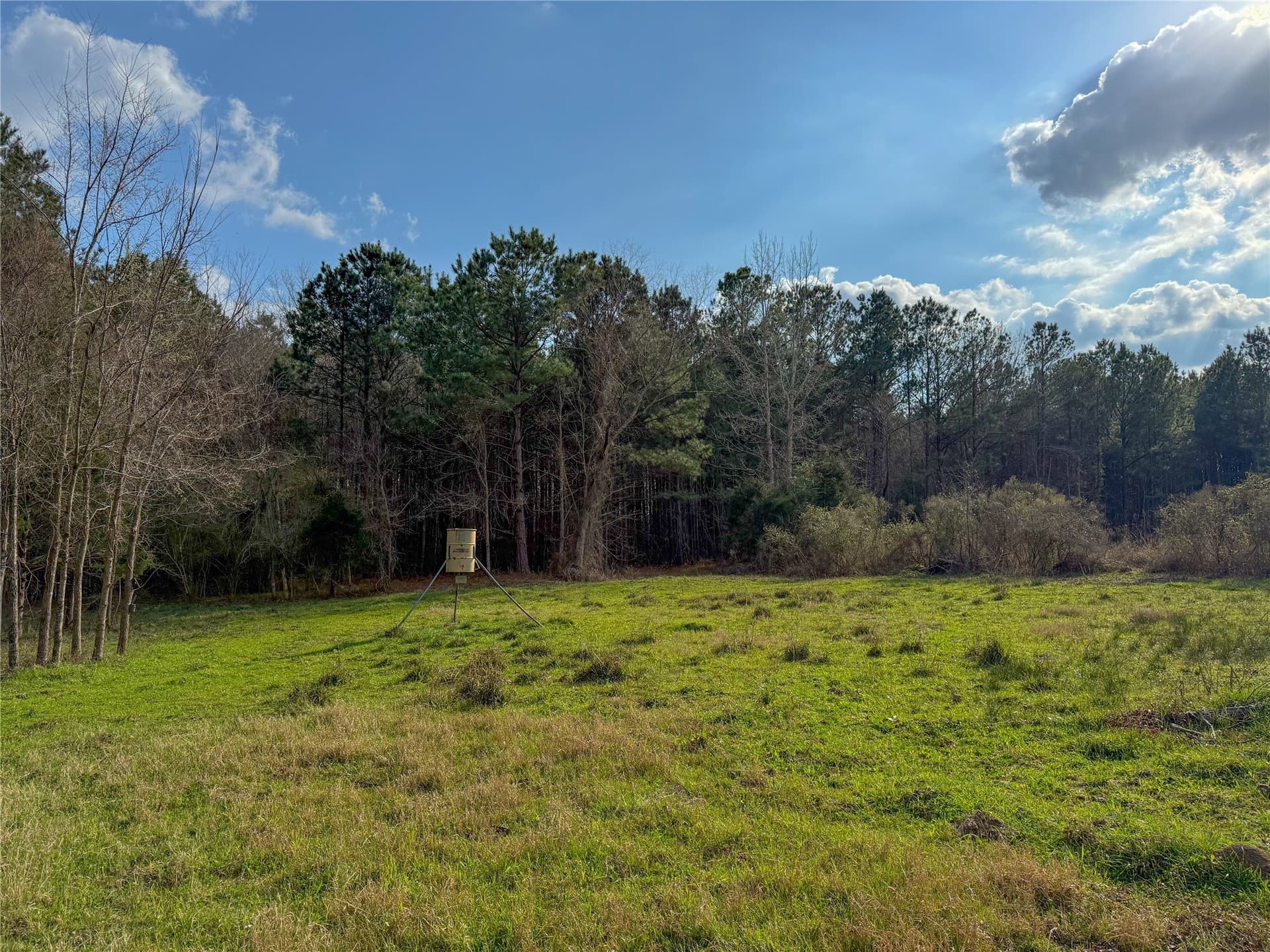 115.74 acres in Panola County - photo 5