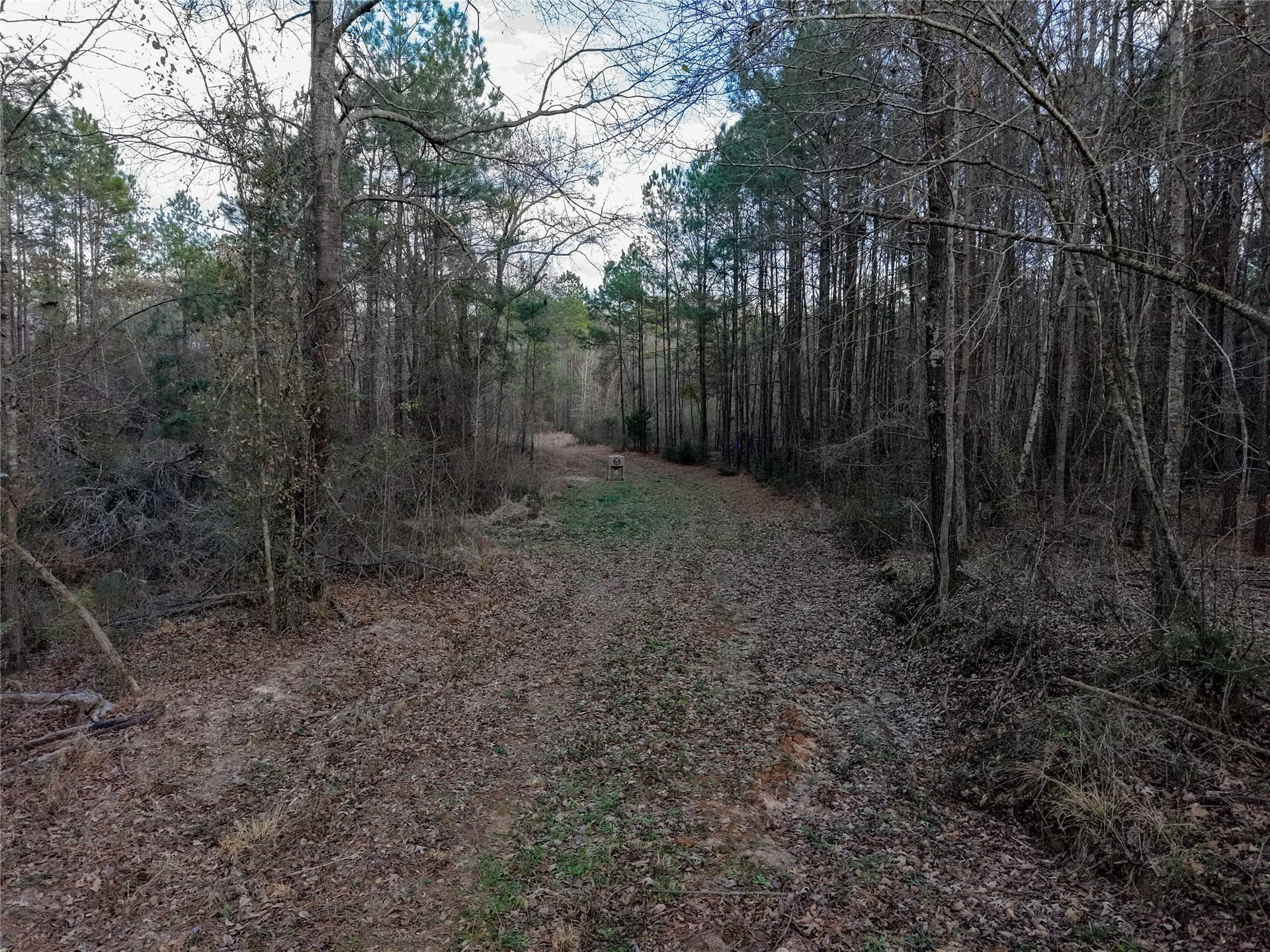 115.74 acres in Panola County - photo 31