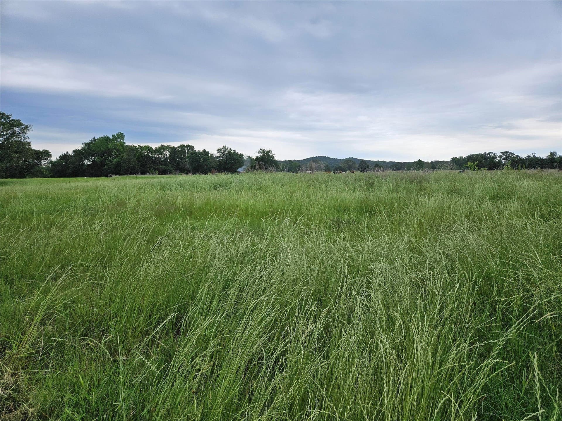 16.3 acres in Van Zandt County - photo 24