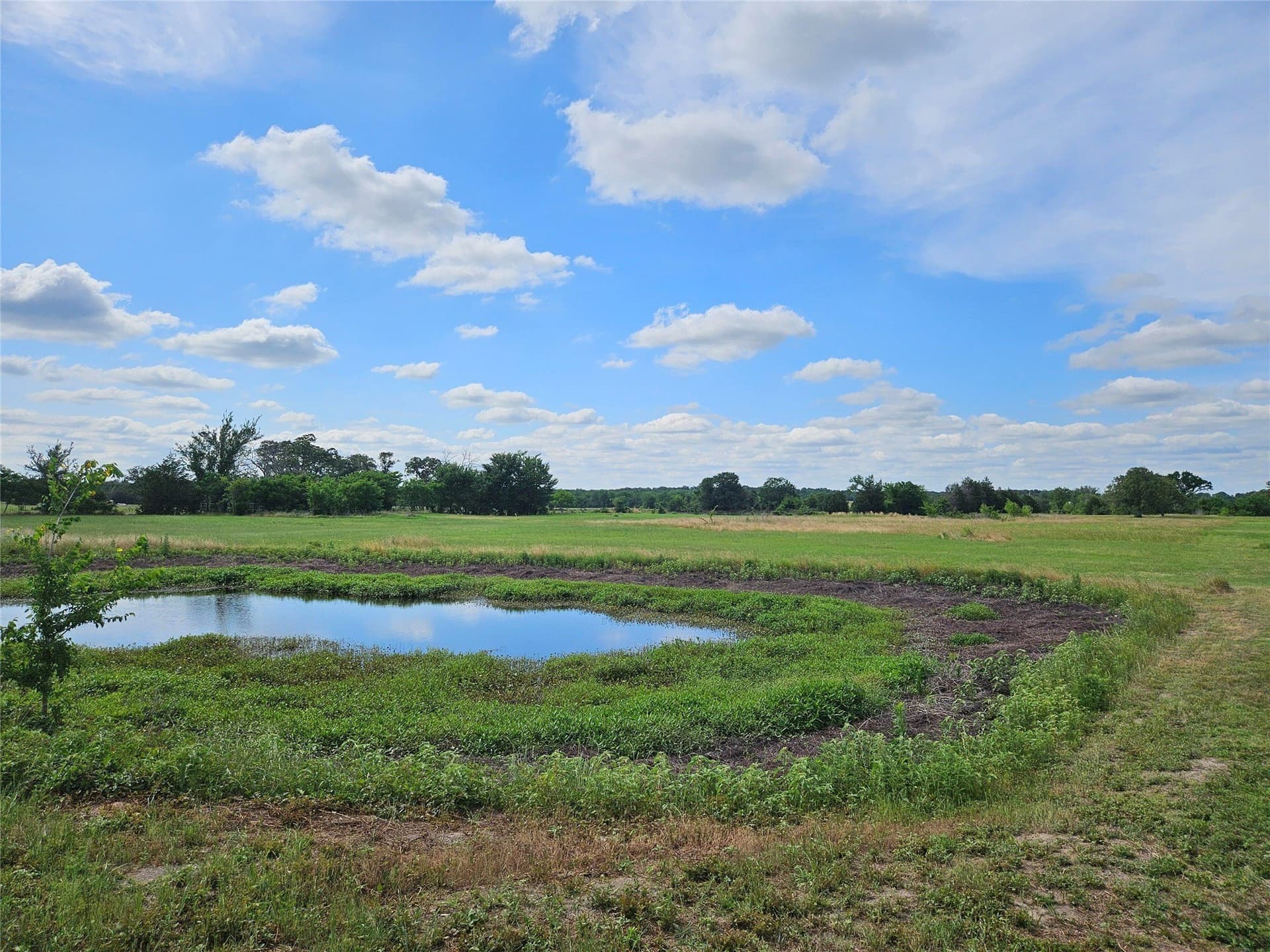 16.3 acres in Van Zandt County - photo 6