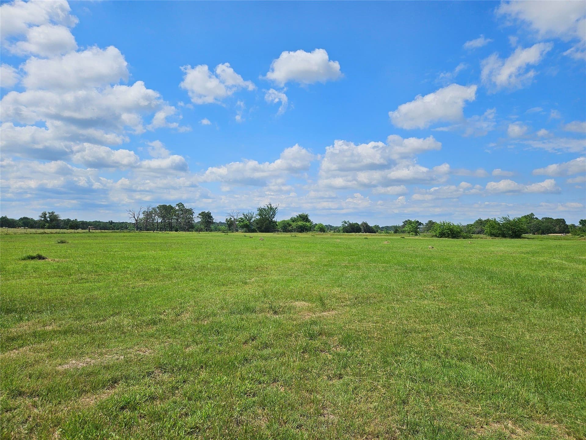 16.3 acres in Van Zandt County - photo 14
